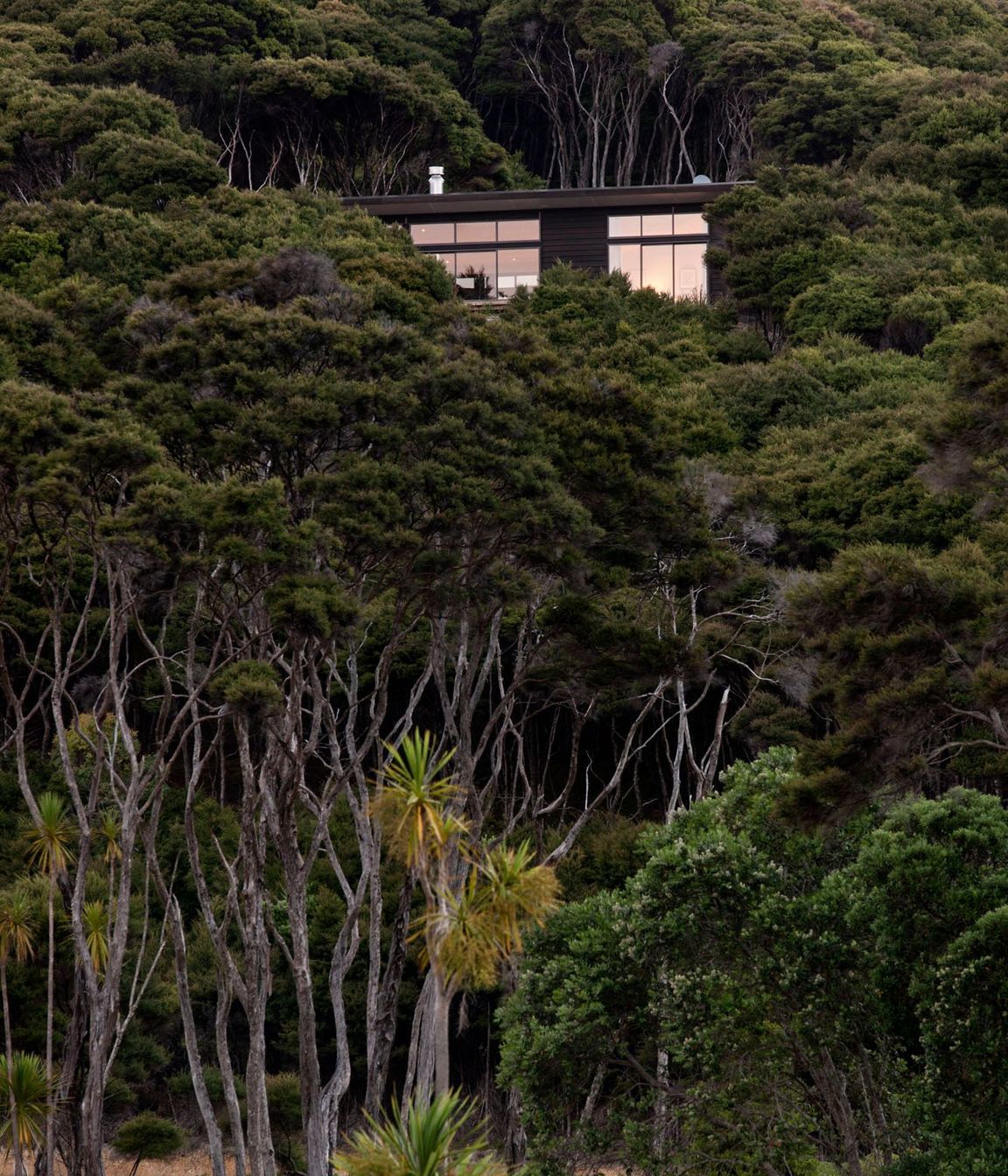 Kawau Island House