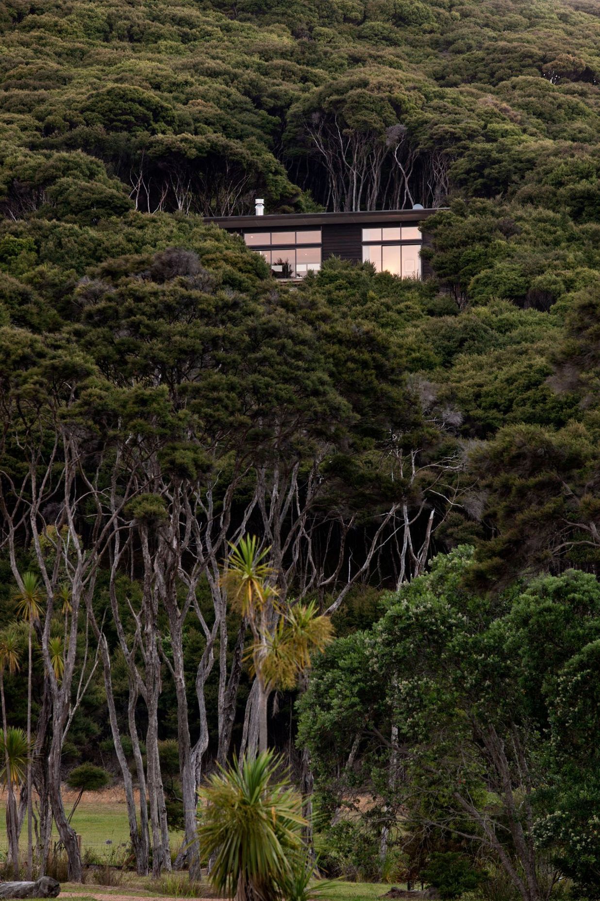 Kawau Island House