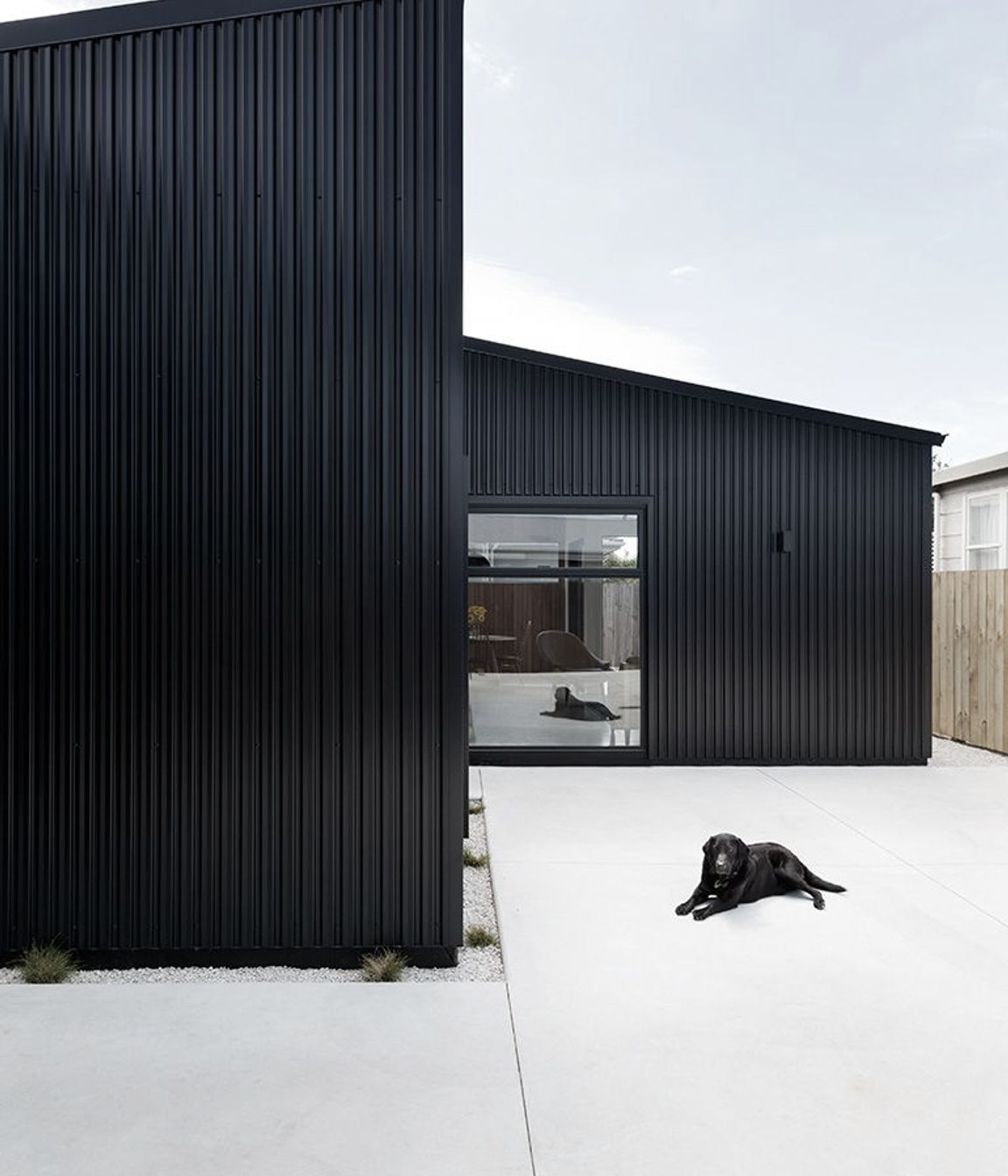 A-cute House