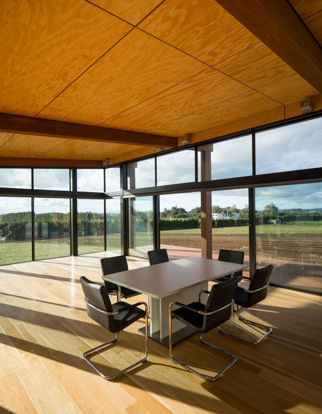 The plywood ceiling to the living wing is stained to match the cedar cladding.