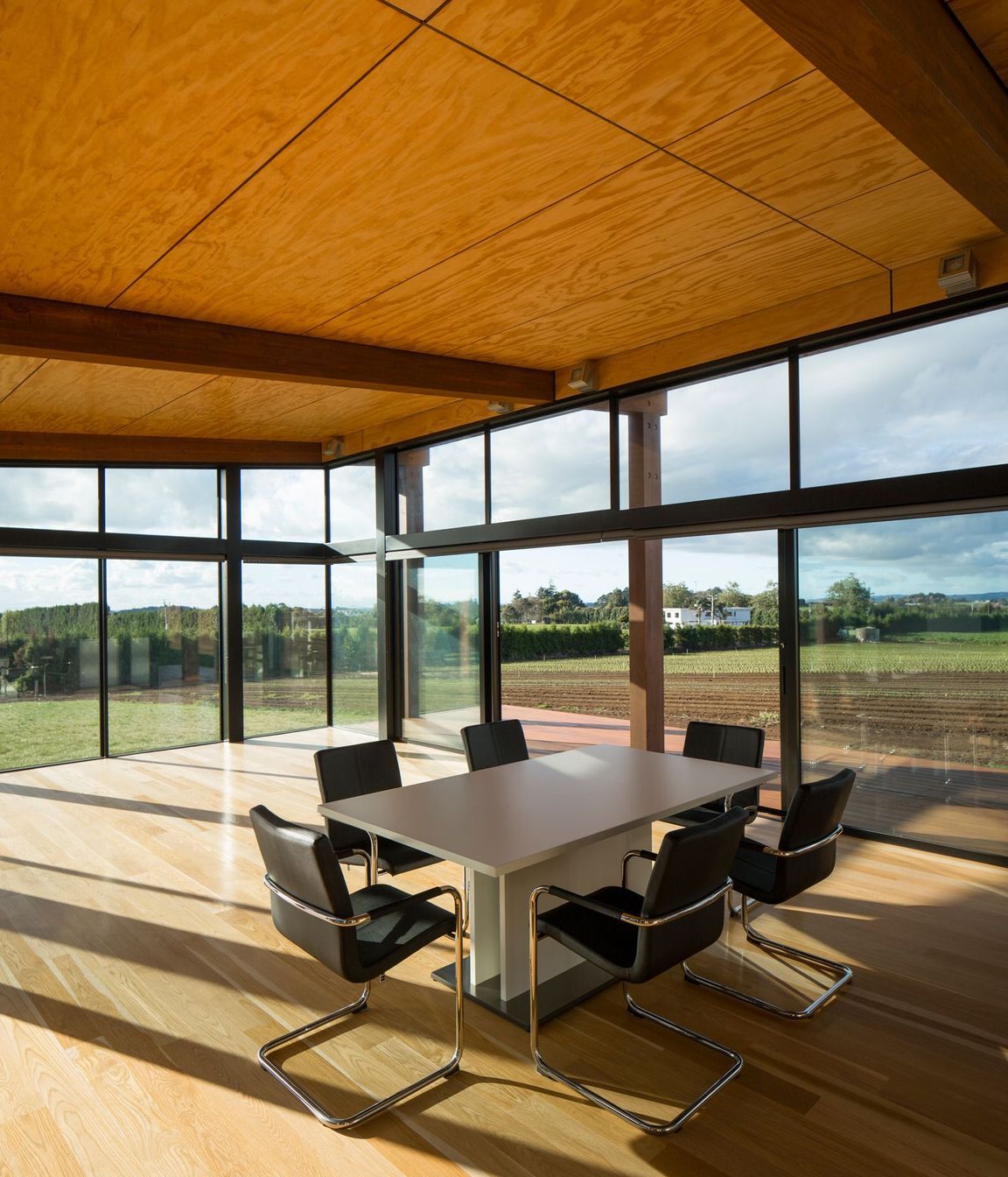 The plywood ceiling to the living wing is stained to match the cedar cladding.