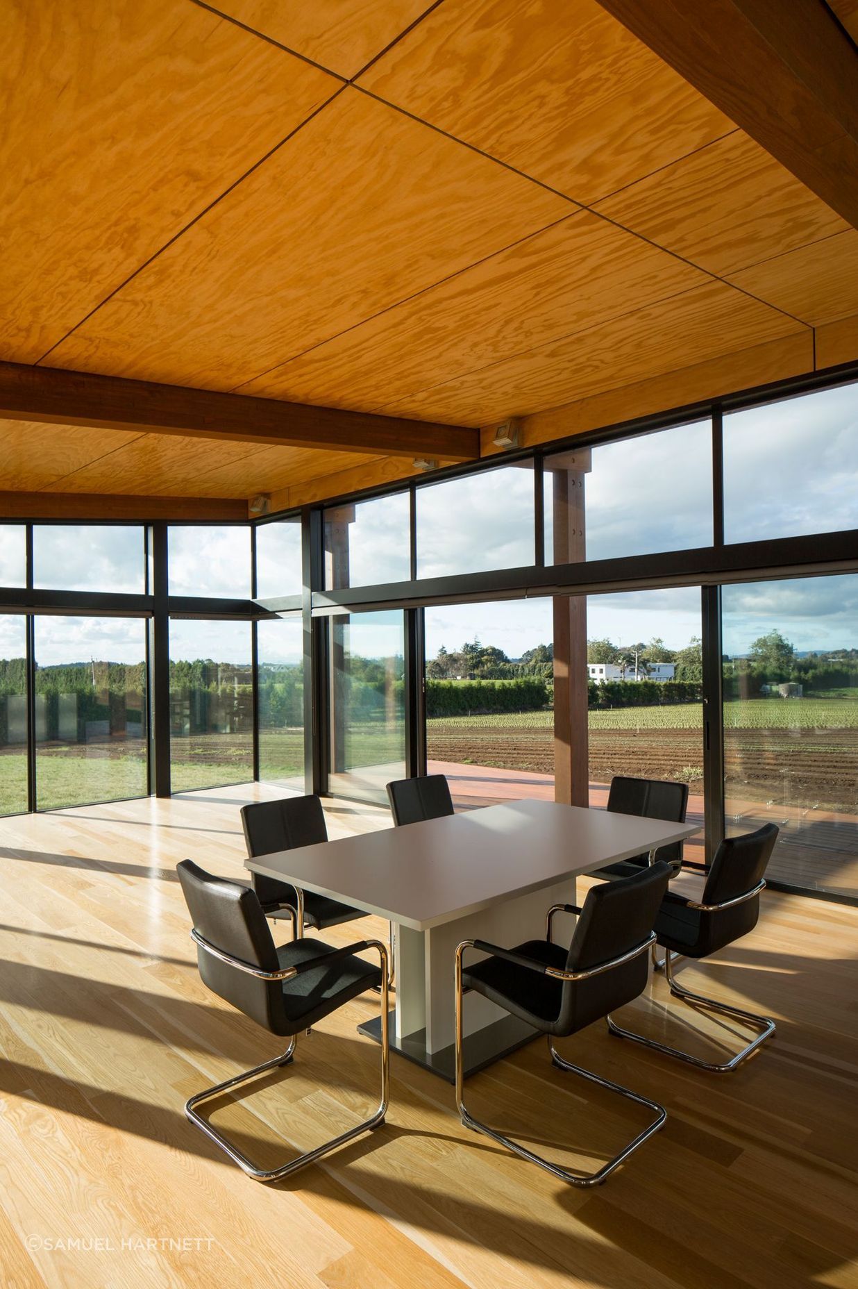 The plywood ceiling to the living wing is stained to match the cedar cladding.