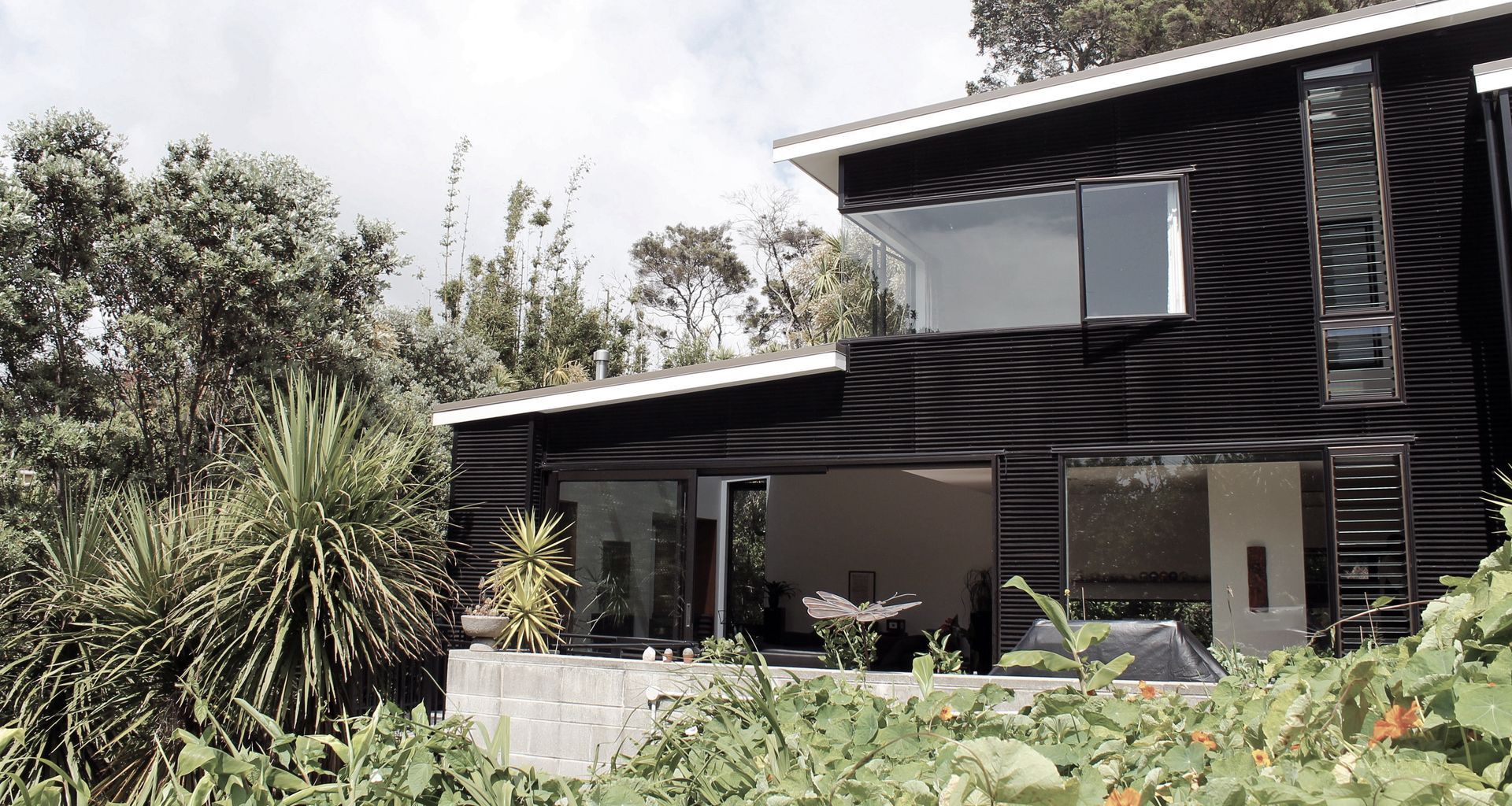 Modern New House in Point Chevalier banner