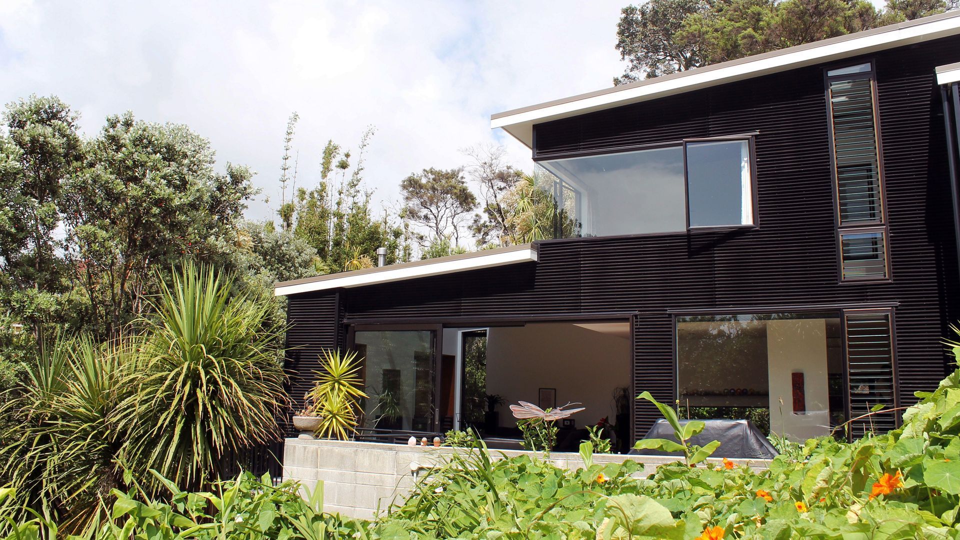 Modern New House in Point Chevalier banner