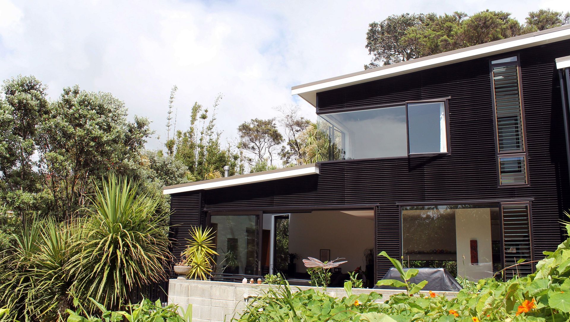 Modern New House in Point Chevalier banner