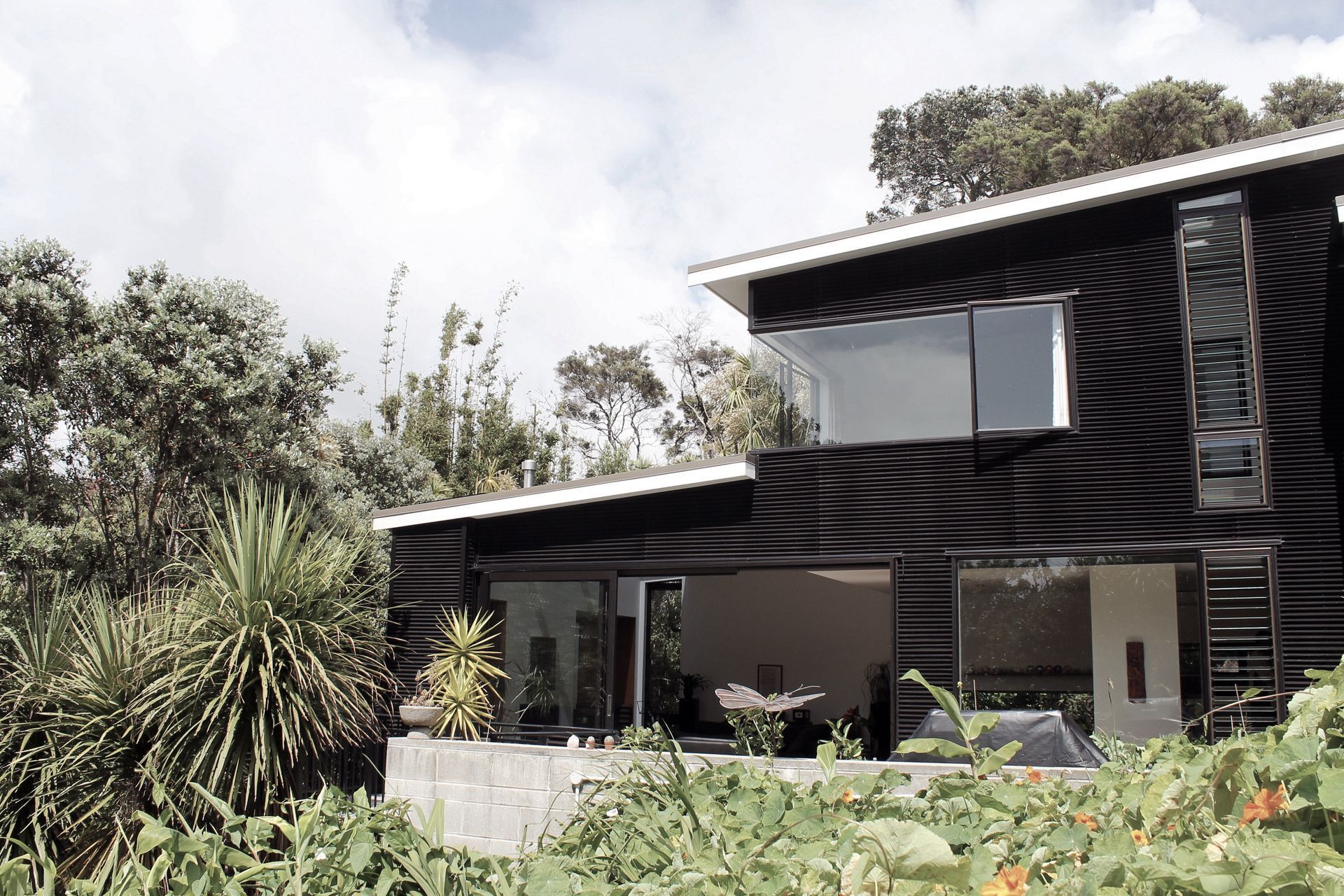 Modern New House in Point Chevalier