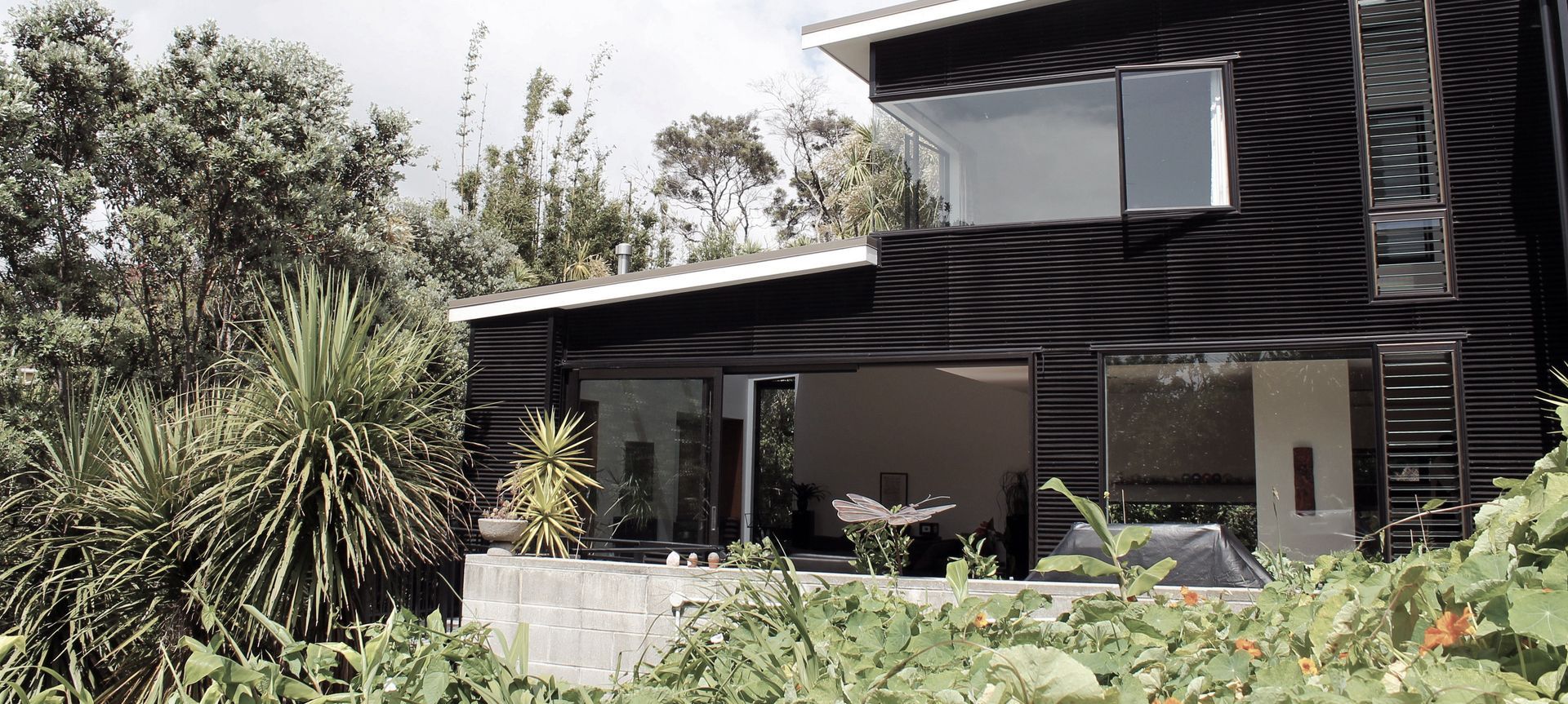 Modern New House in Point Chevalier banner