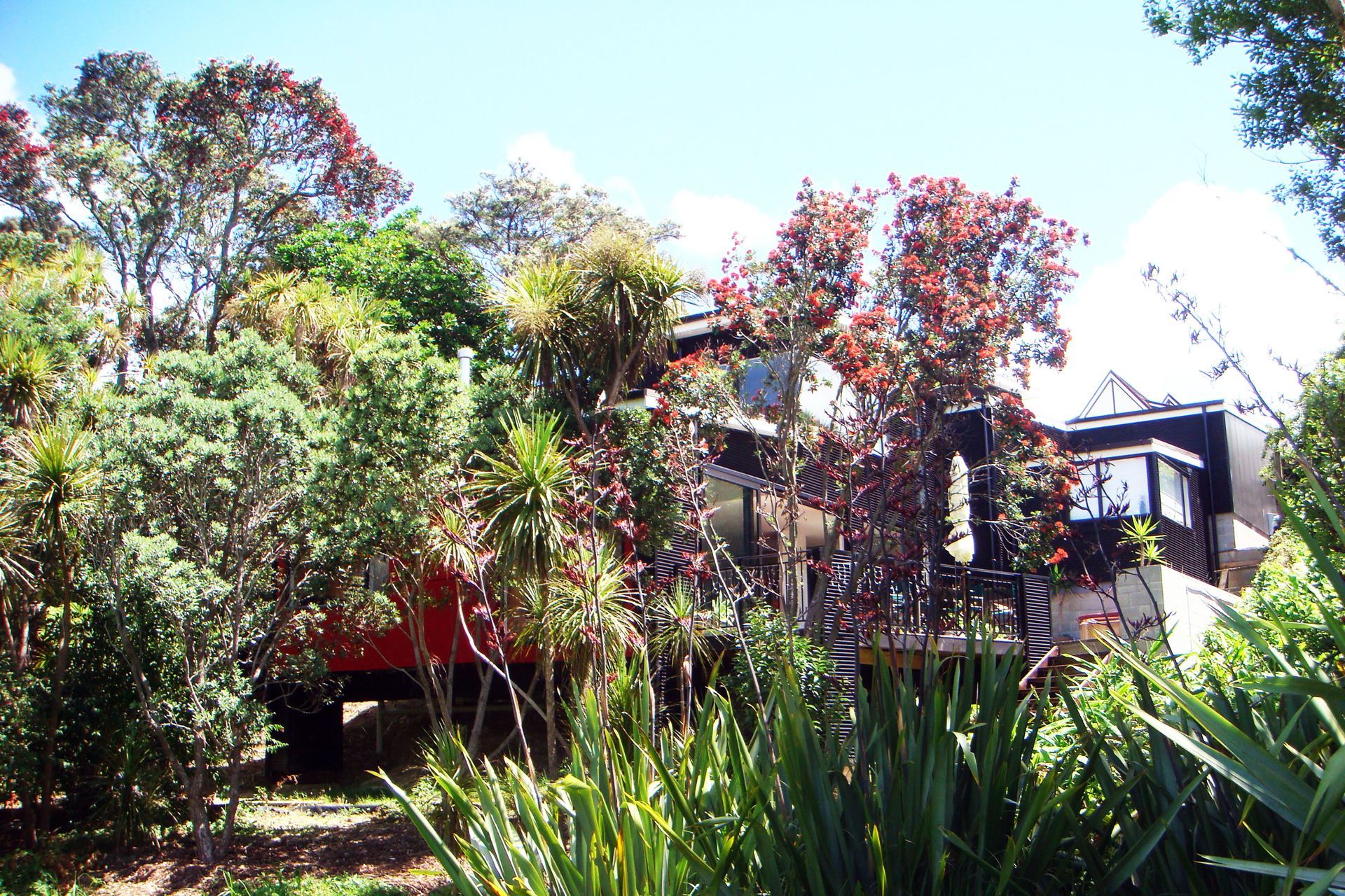 Modern New House in Point Chevalier