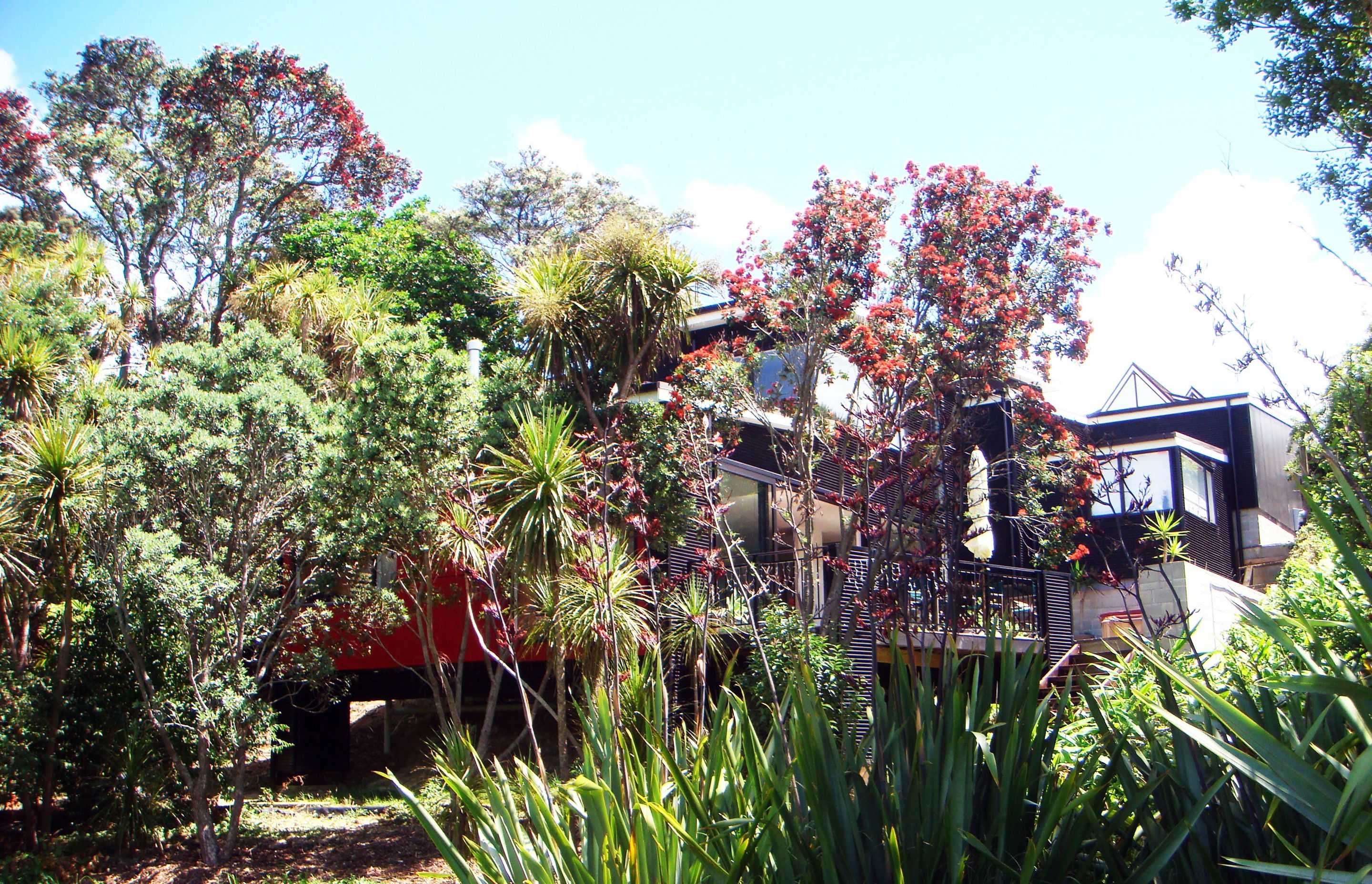 Modern New House in Point Chevalier