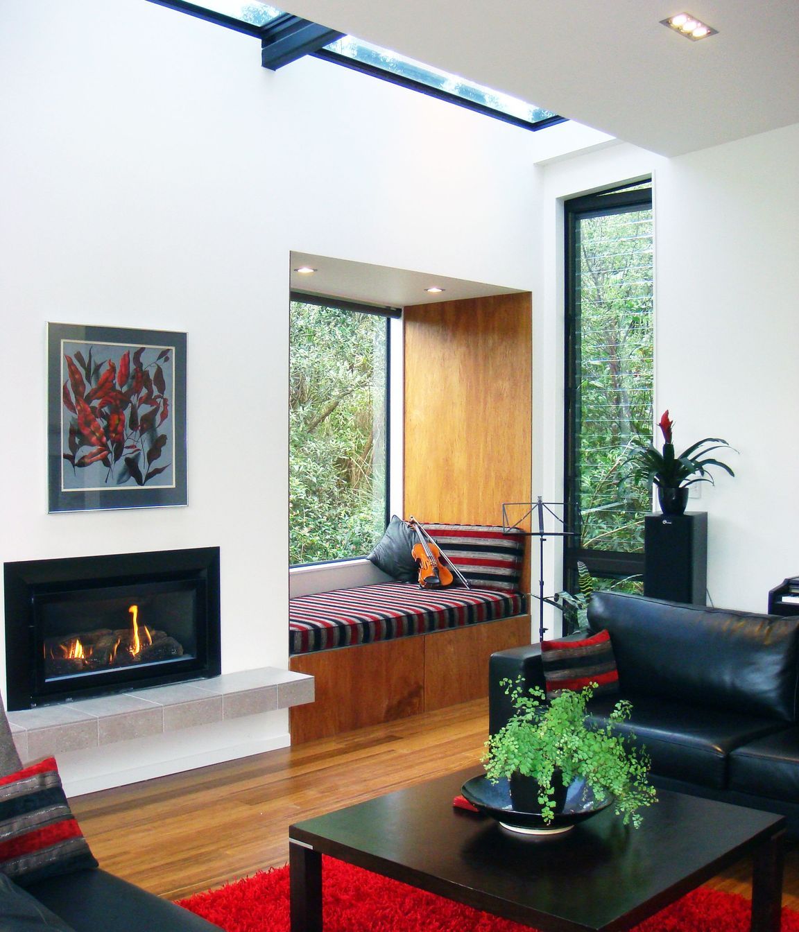 Modern New House in Point Chevalier