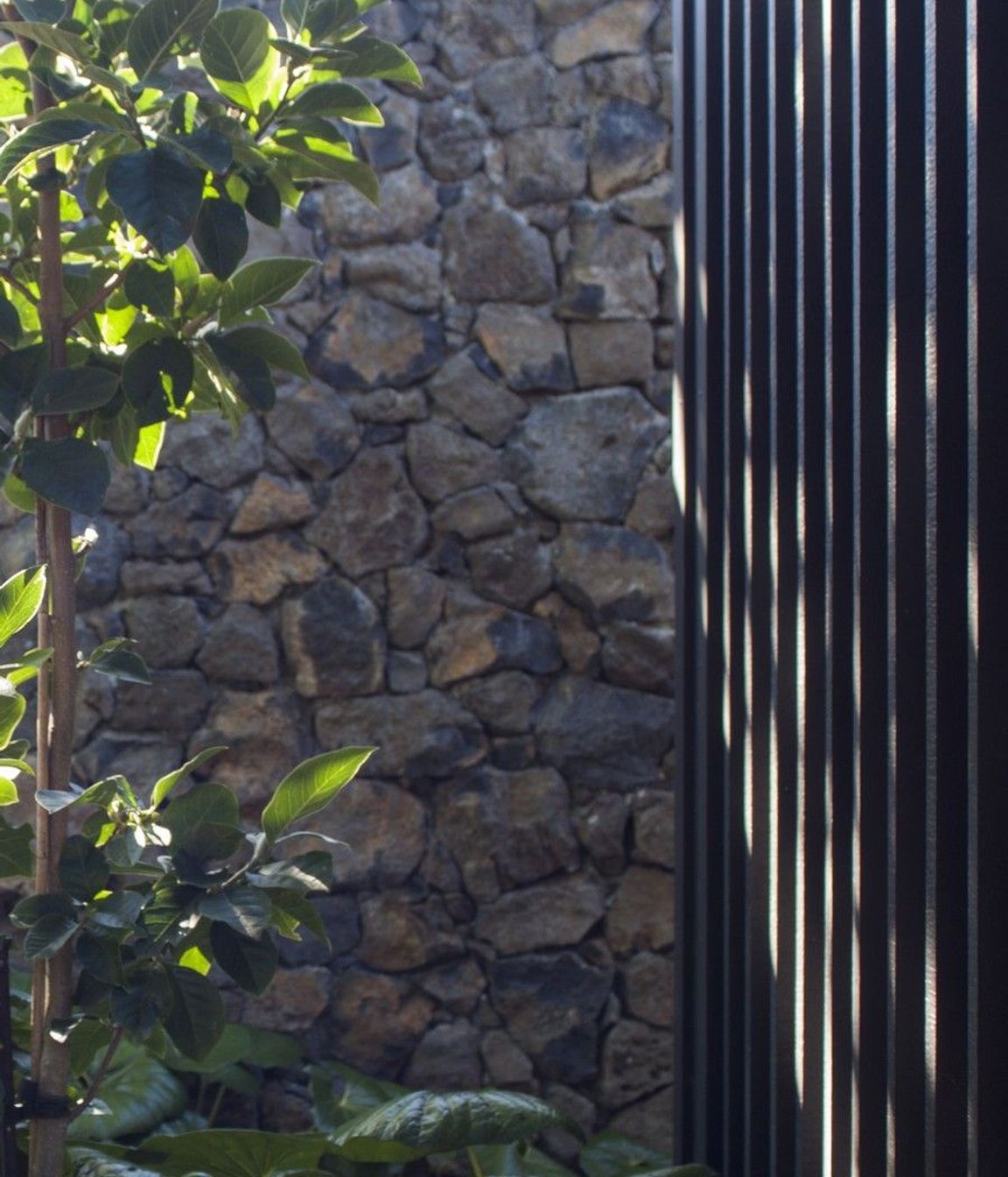 Mt Eden