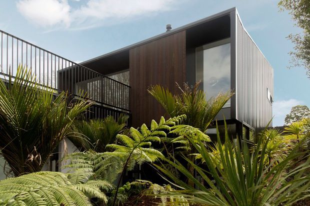 Exterior view of a contemporary two-storey home set within dense lush planting. The building has a sharply pitched asymmetrical roofline, dark vertical timber cladding at the central facade, pale corrugated metal cladding on the upper side wall, large glazed openings, and a black metal-railed balcony. Ferns and palms partially screen the lower level.