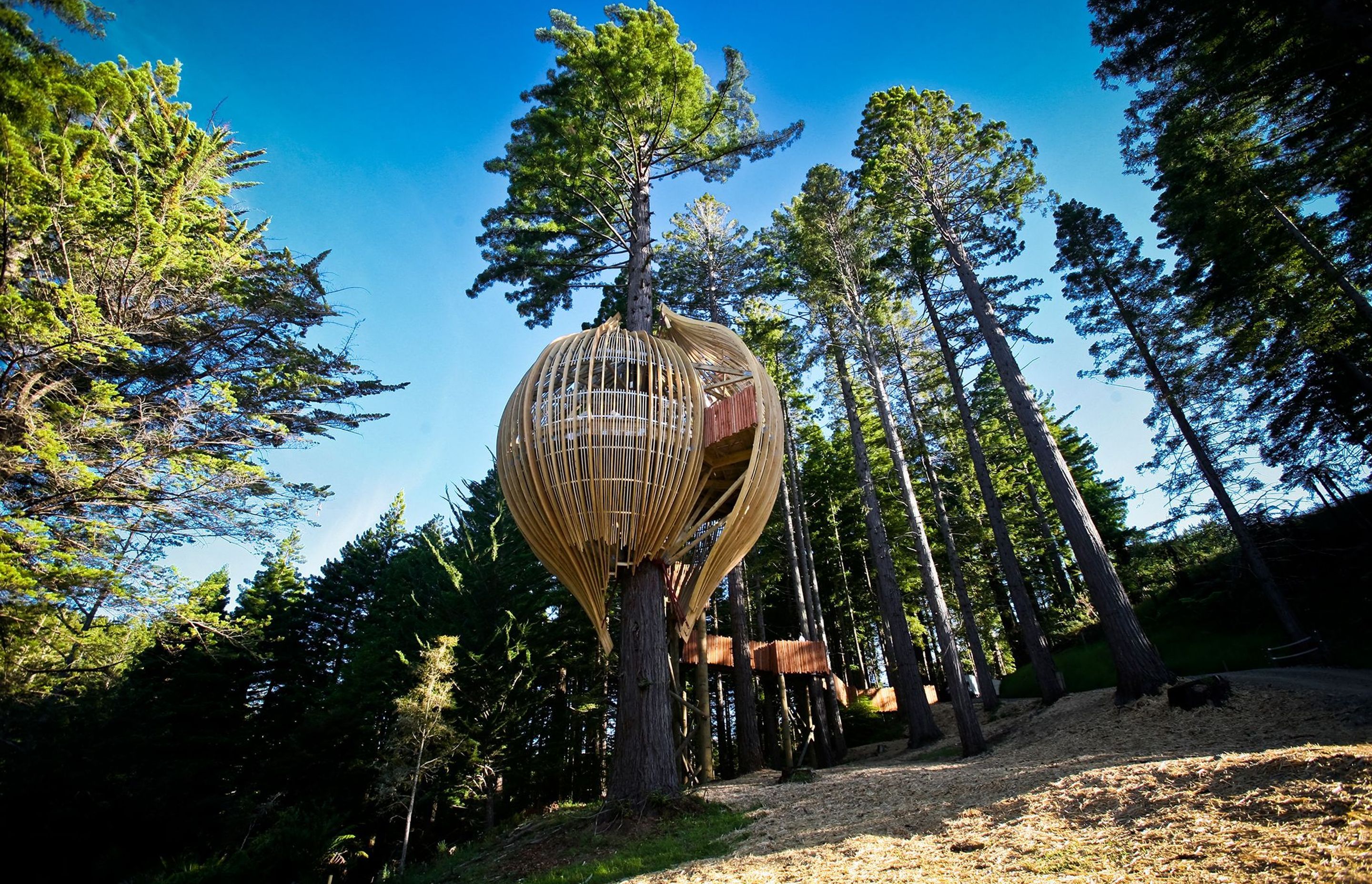 Yellow Treehouse Restaurant