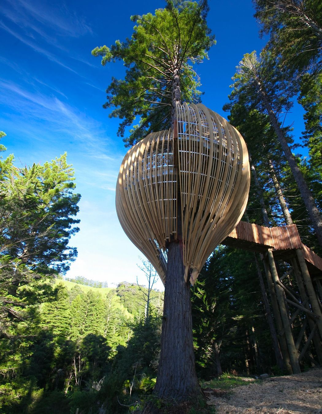 Yellow Treehouse Restaurant