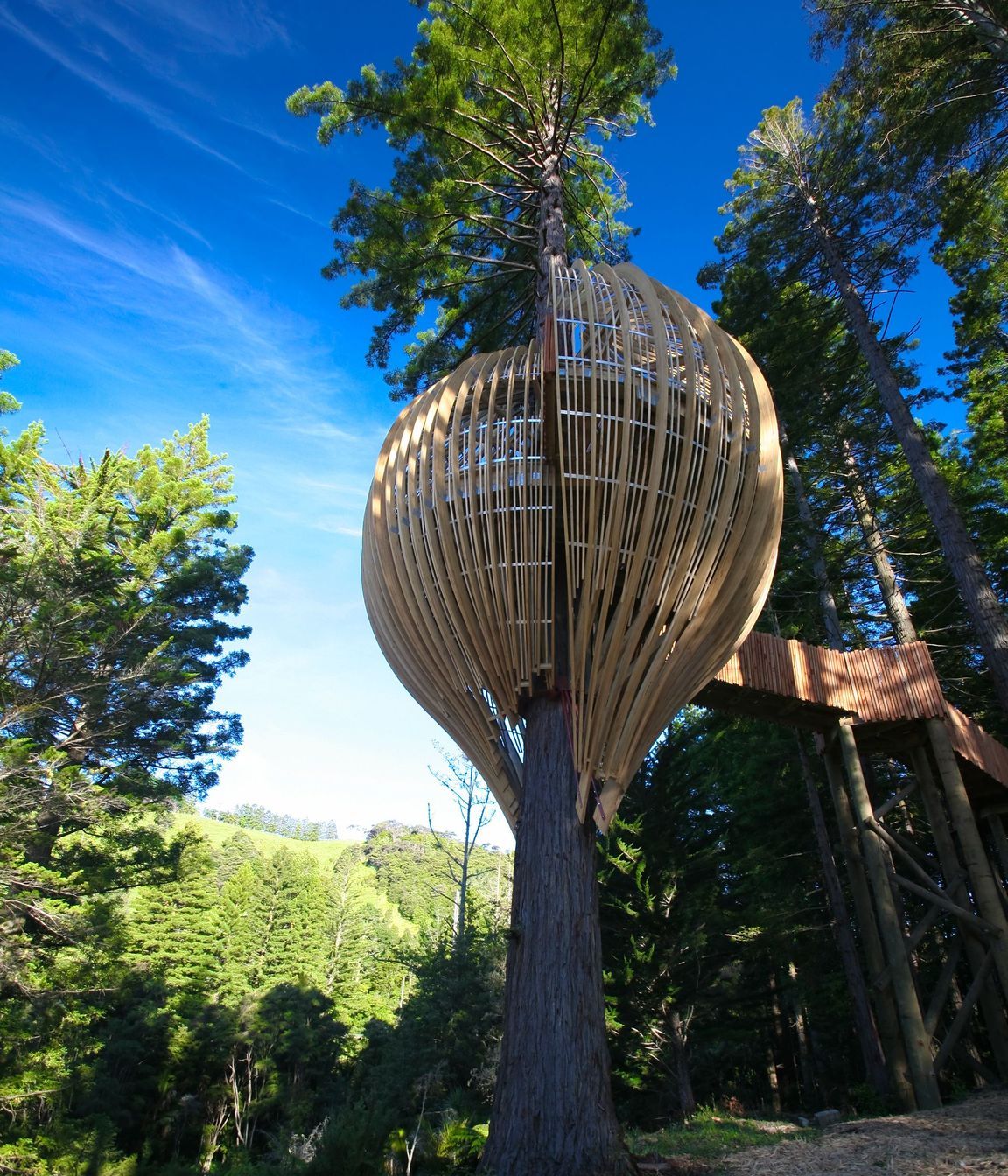 Yellow Treehouse Restaurant