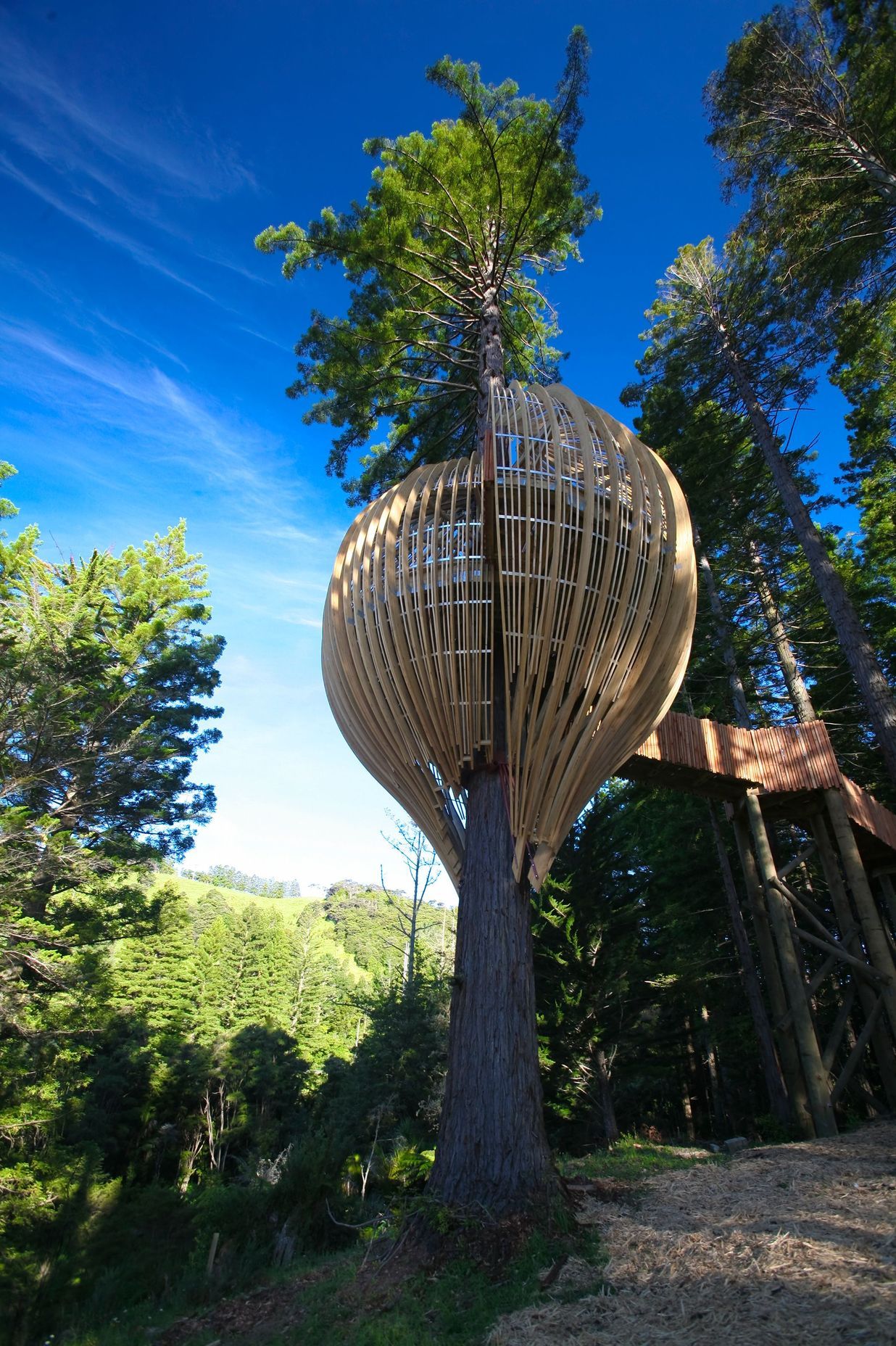 Yellow Treehouse Restaurant