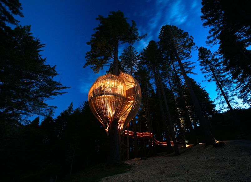 Yellow Treehouse Restaurant