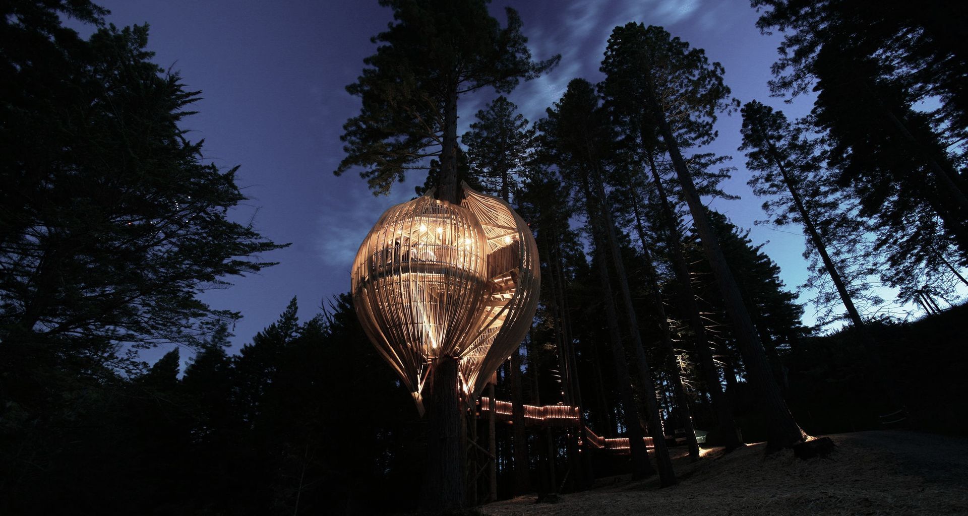 Yellow Treehouse Restaurant banner
