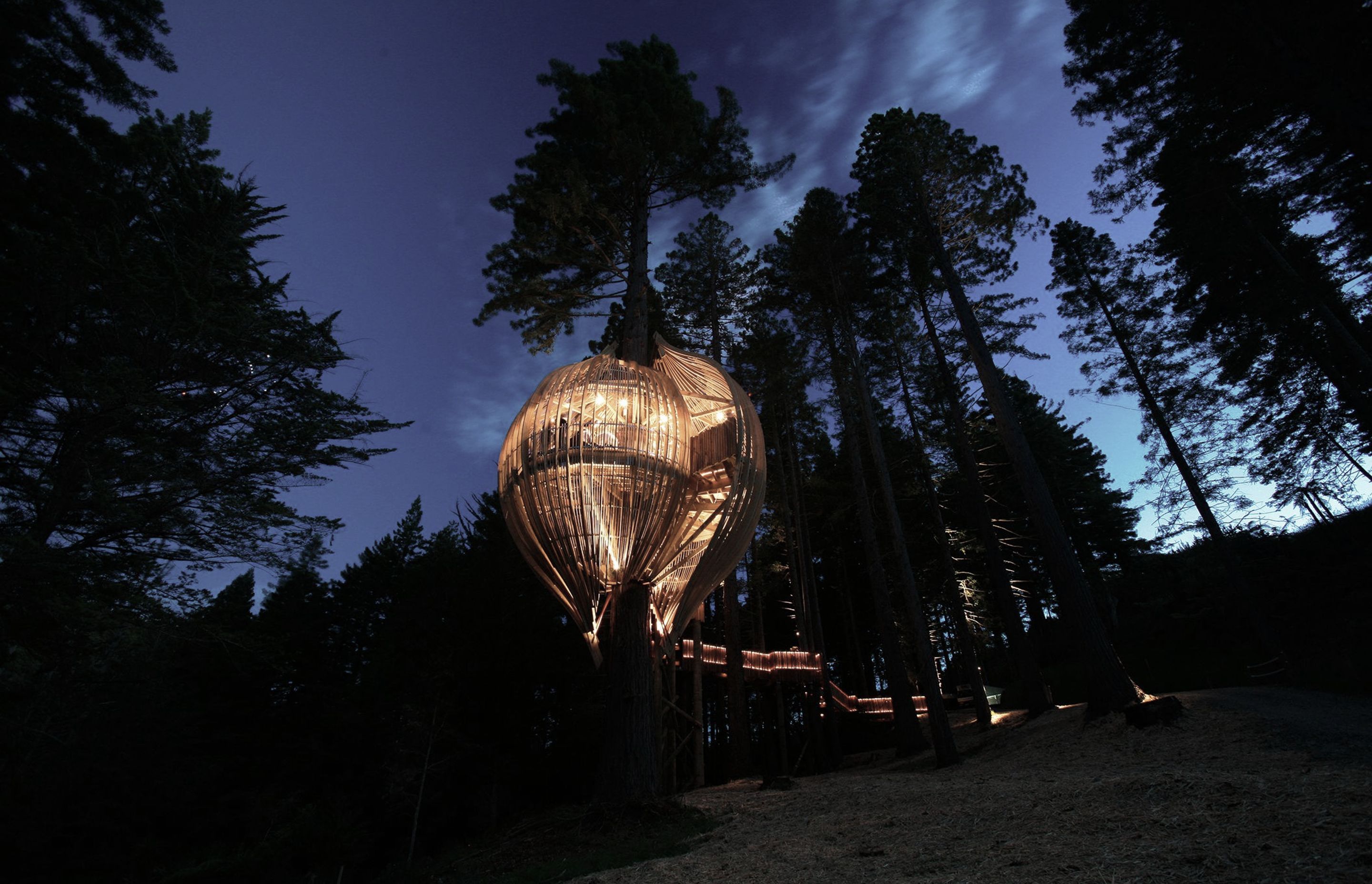 Yellow Treehouse Restaurant