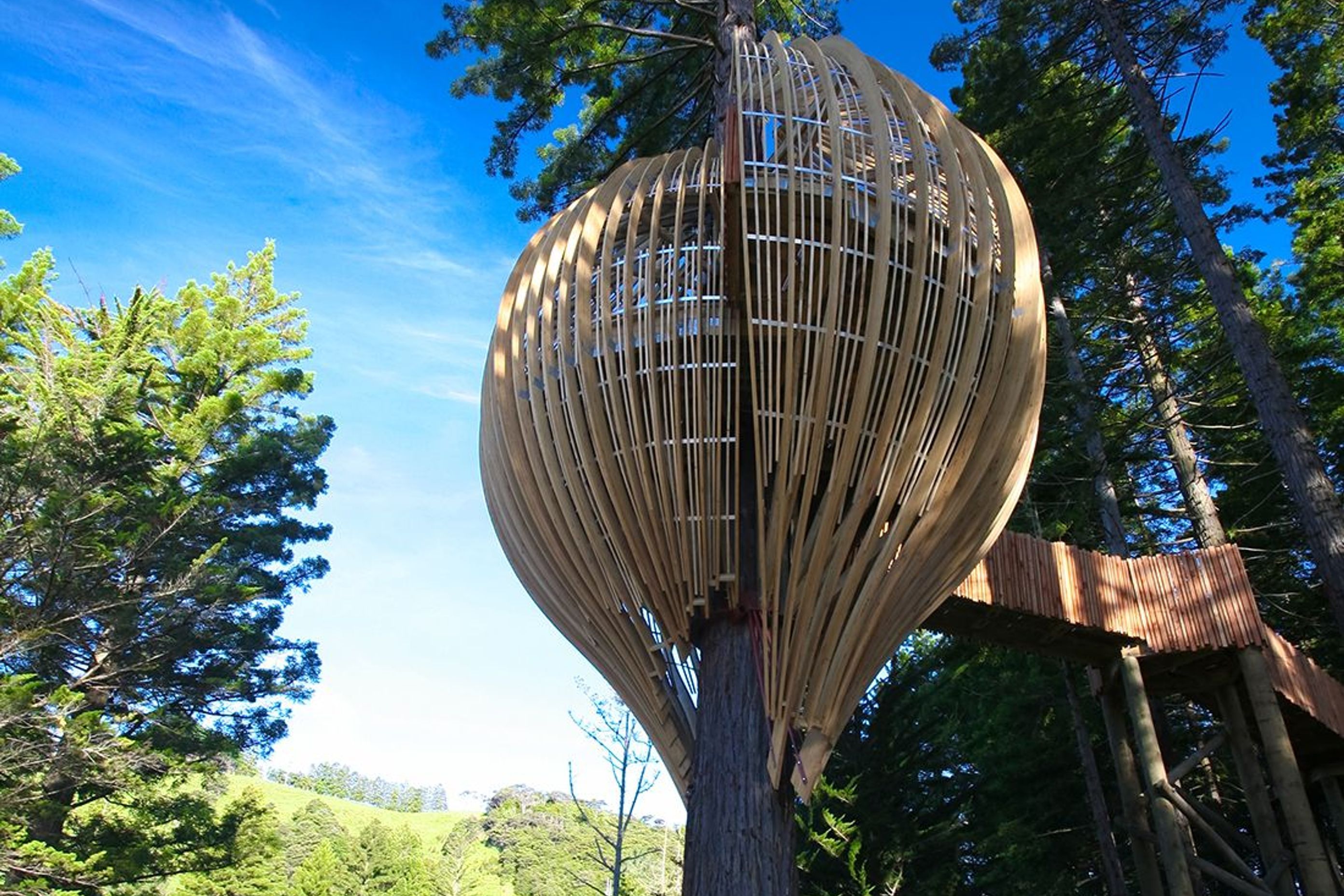 Yellow Treehouse Restaurant