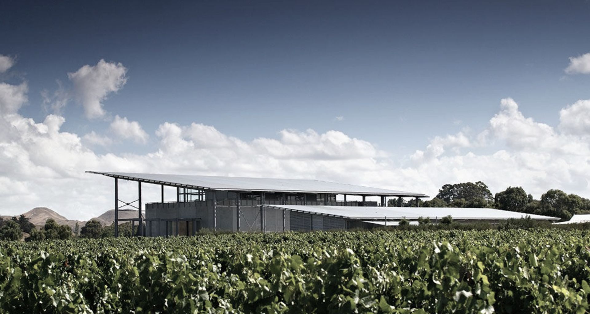 Paritua Winery banner