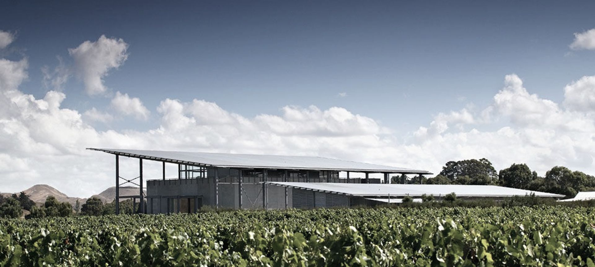 Paritua Winery banner
