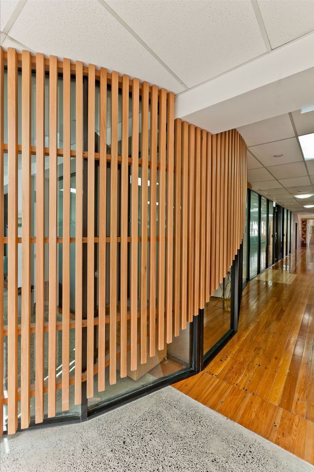 A contemporary commercial interior corridor with a curved partition made from vertical light timber battens set in front of extensive black-framed glazing. The hallway combines polished timber flooring with a speckled terrazzo or concrete floor zone, a suspended acoustic tile ceiling, and recessed lighting. The slatted screen creates a strong architectural feature while allowing views into the glazed space behind it.
