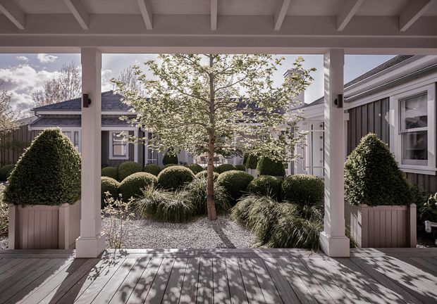 A covered timber veranda opens onto a formal landscaped courtyard. White-painted posts and exposed roof beams frame a dark timber deck, while clipped topiary trees in planters, rounded shrubs, ornamental grasses and pale gravel create a structured garden. Surrounding homes feature dark vertical cladding, light trim and pitched roofs.