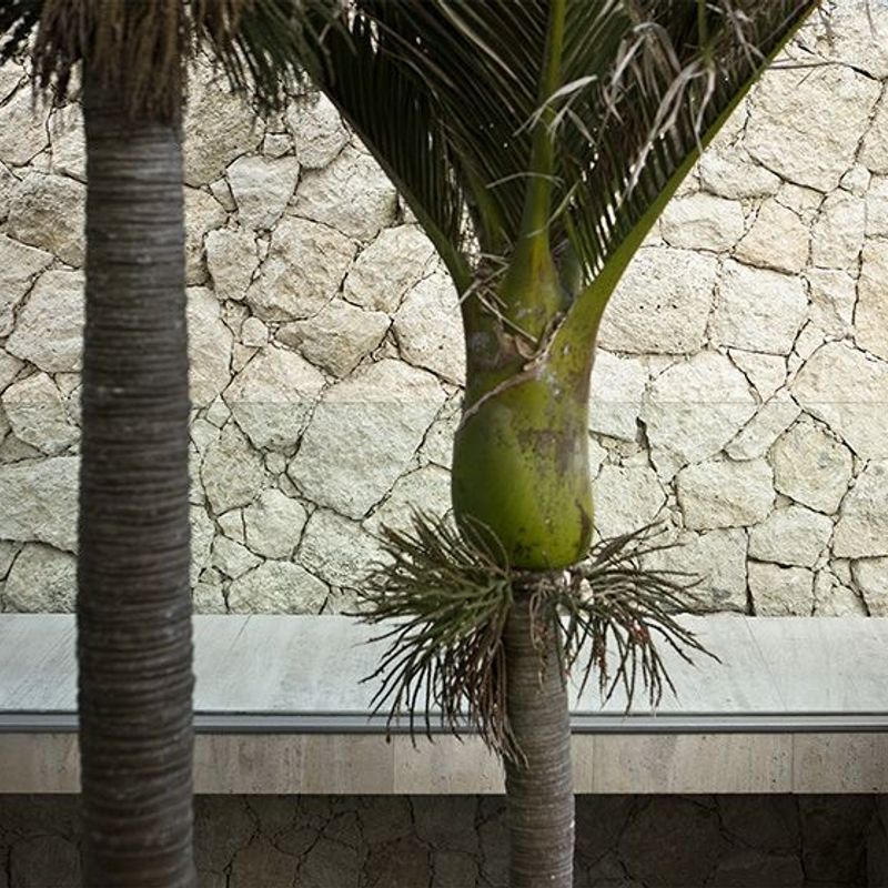 Stone Cladding 