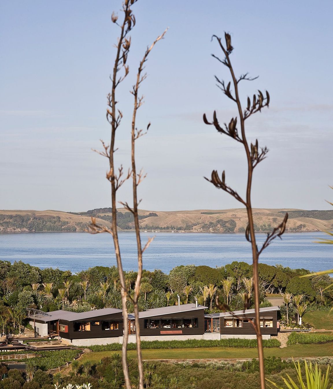Owhanake Bay House