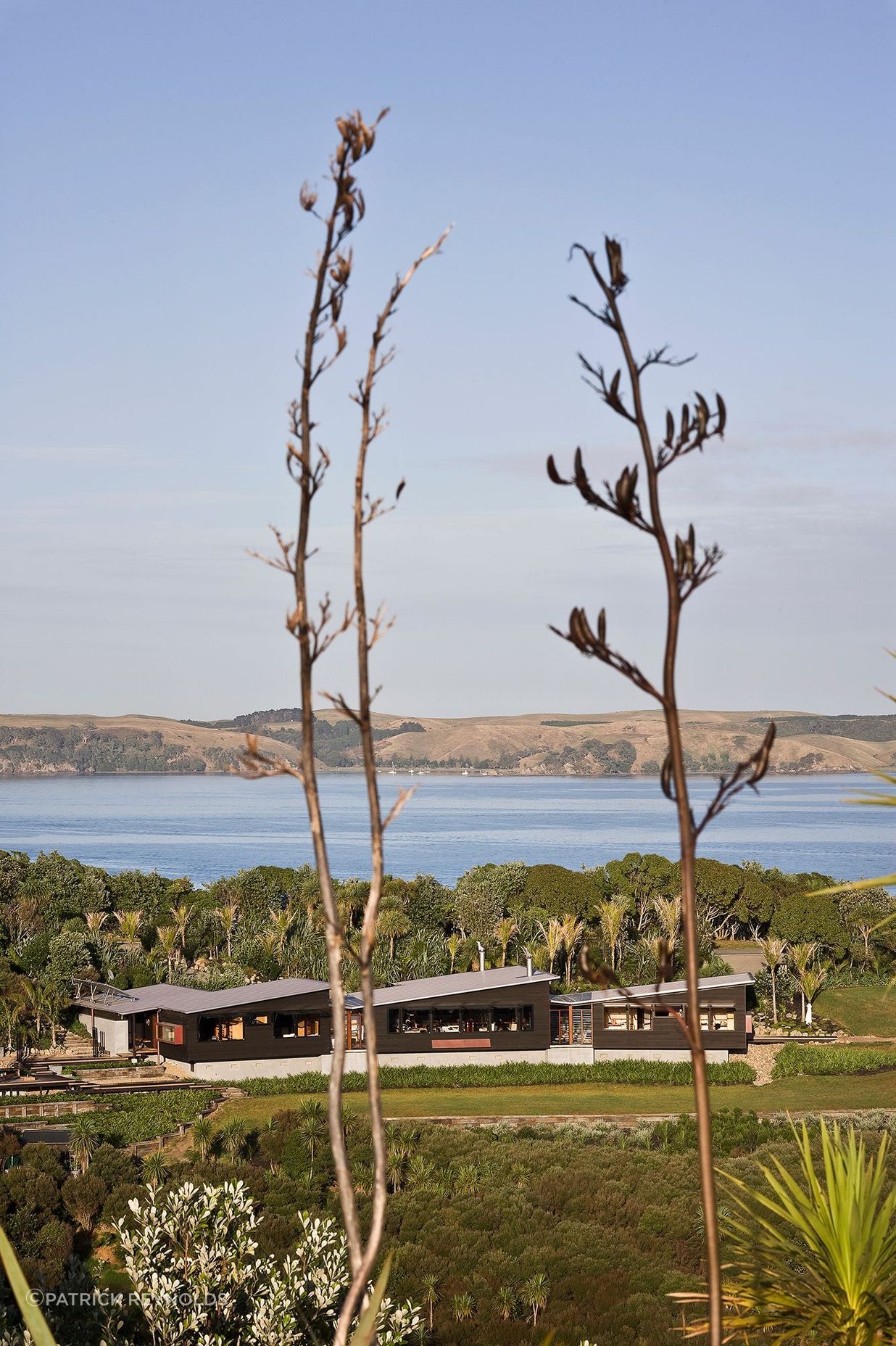 Owhanake Bay House