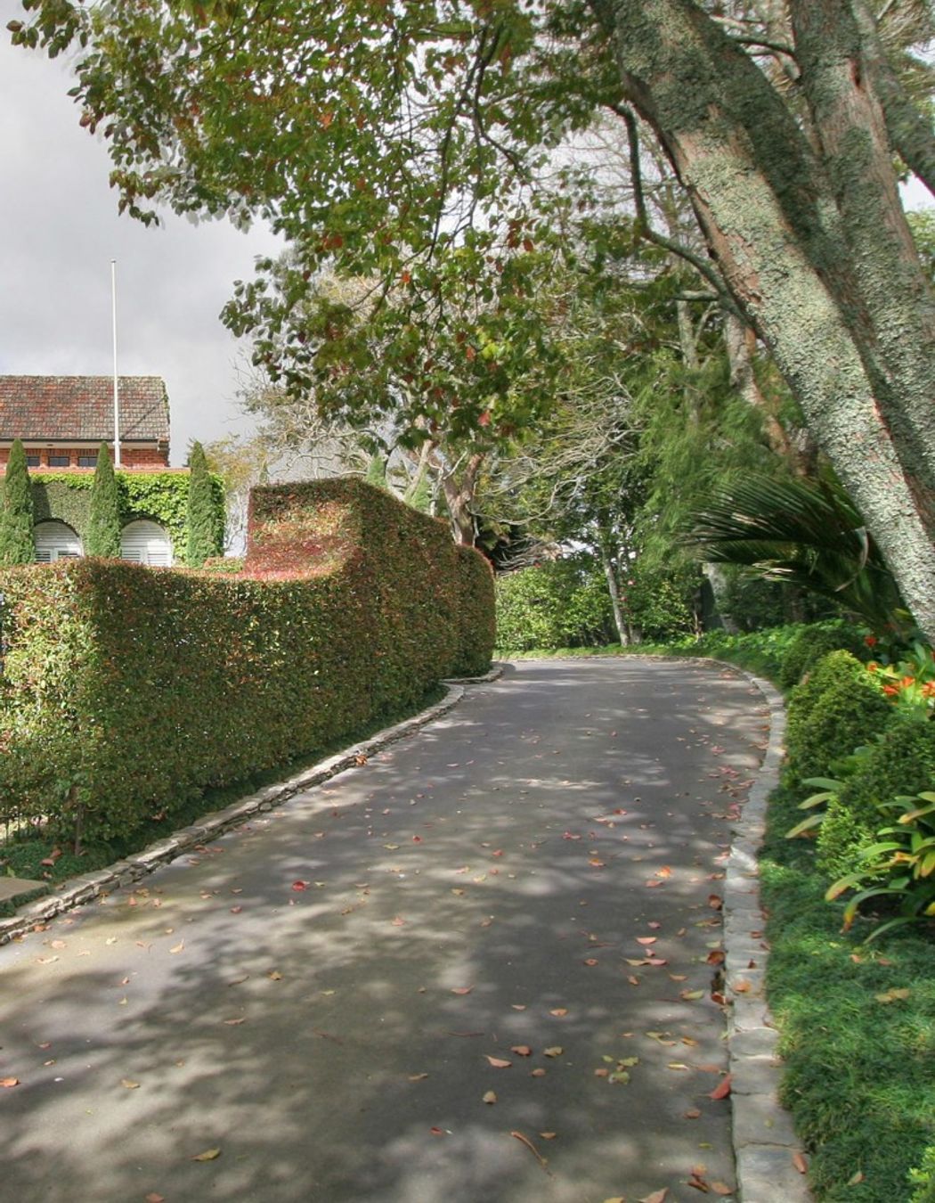 Godden Crescent House