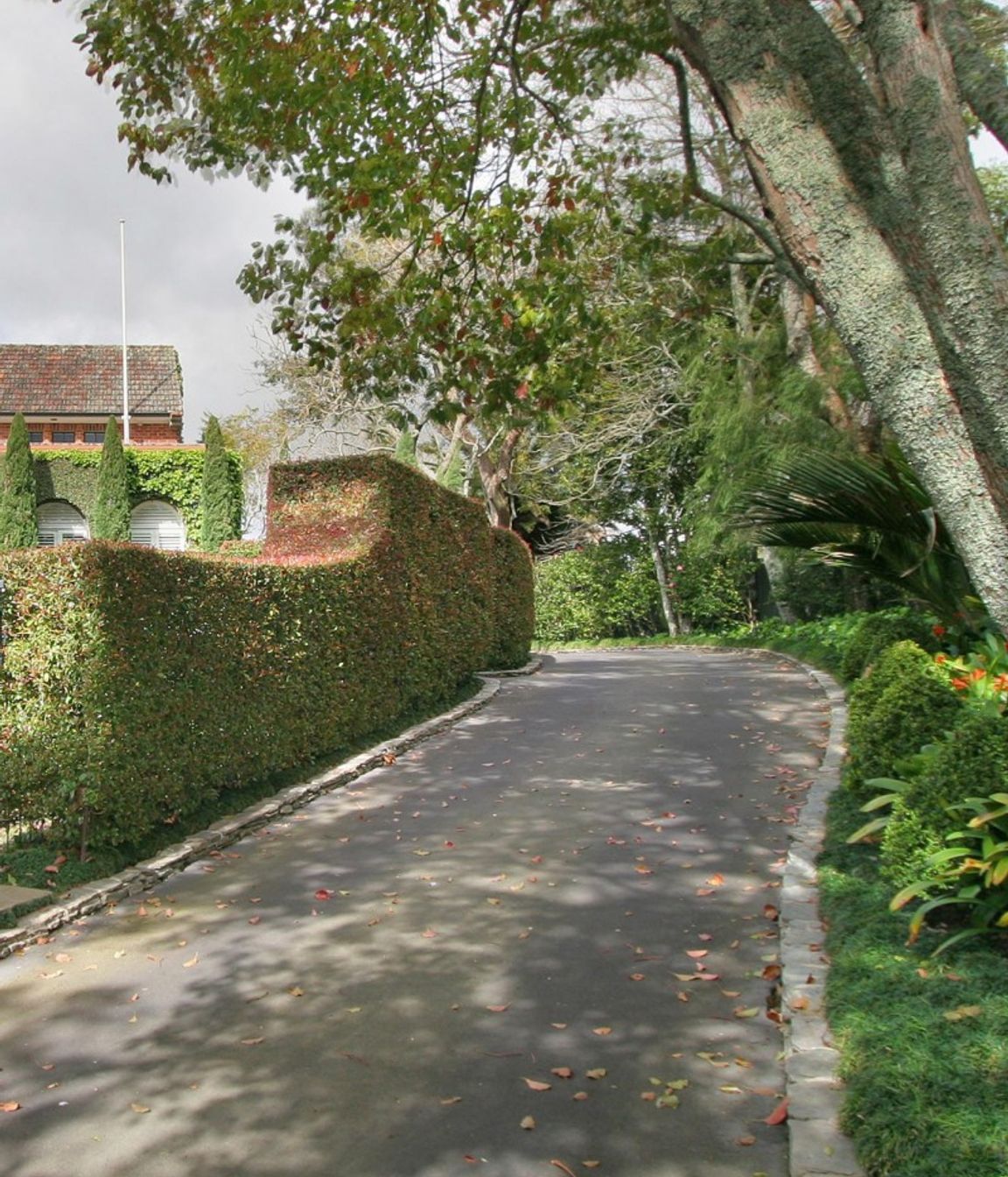 Godden Crescent House