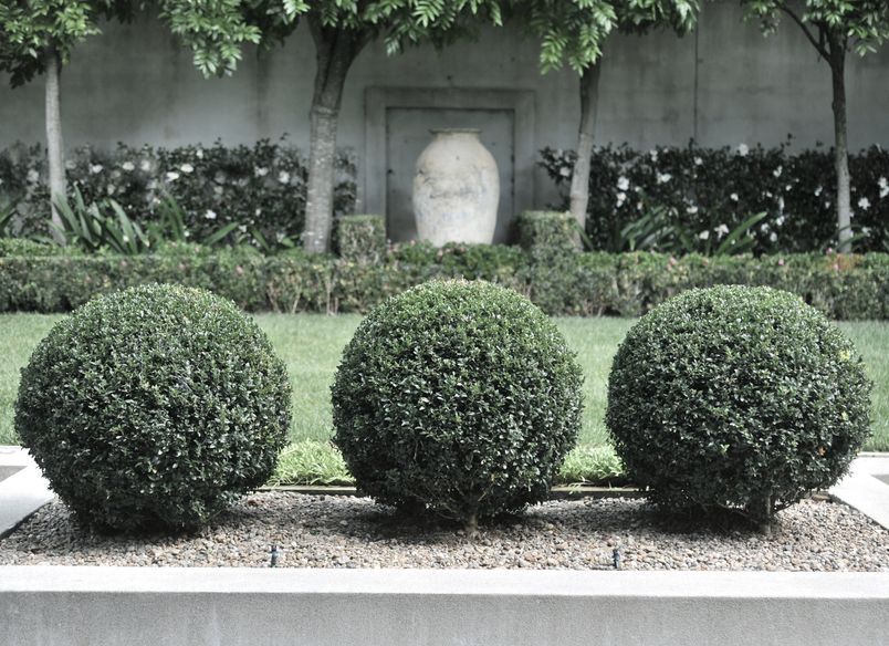 Contemporary City Garden, Parnell