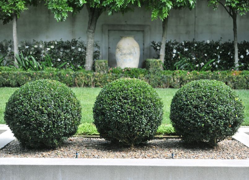 Contemporary City Garden, Parnell