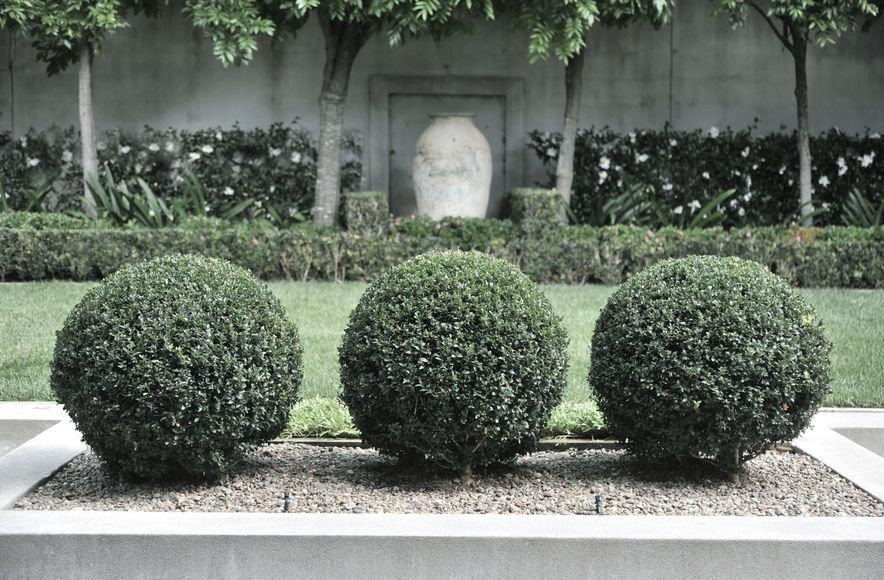 Contemporary City Garden, Parnell