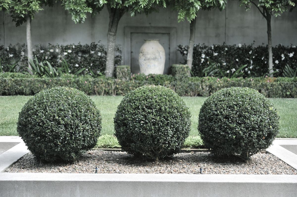 Contemporary City Garden, Parnell