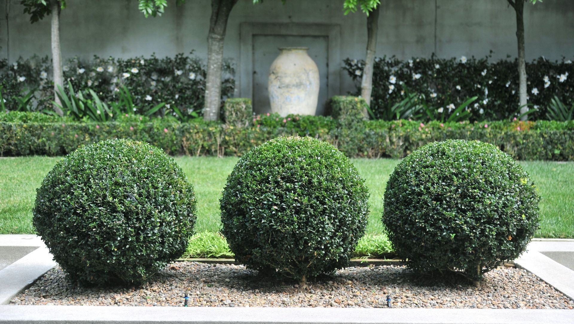 Contemporary City Garden, Parnell banner