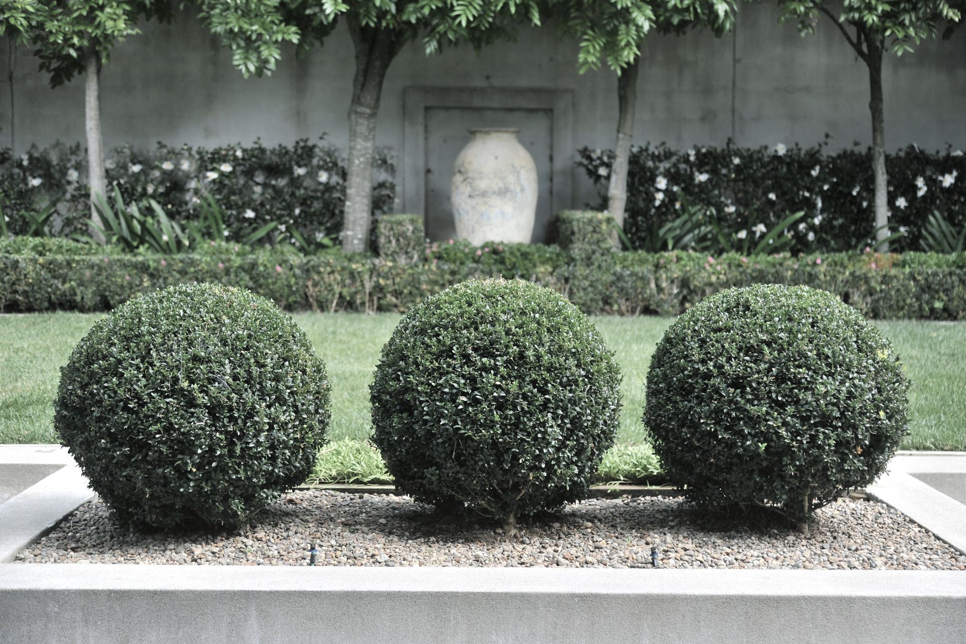 Contemporary City Garden, Parnell
