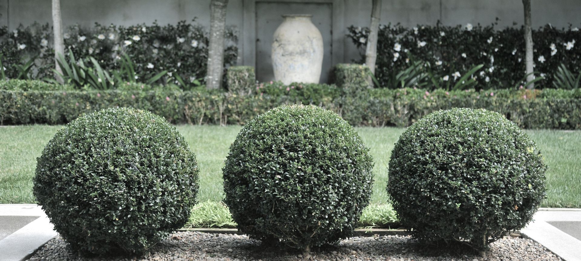 Contemporary City Garden, Parnell banner