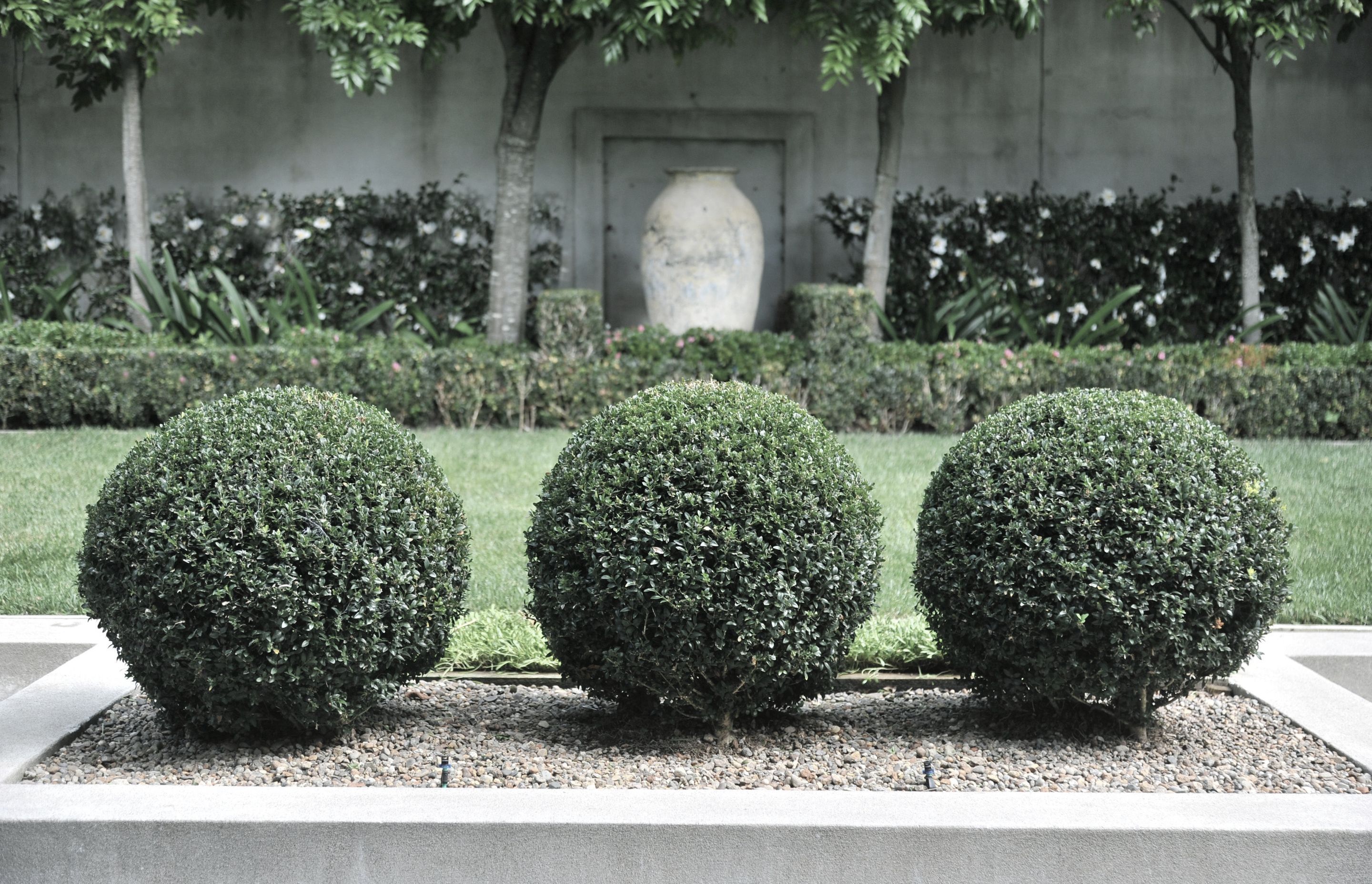 Contemporary City Garden, Parnell