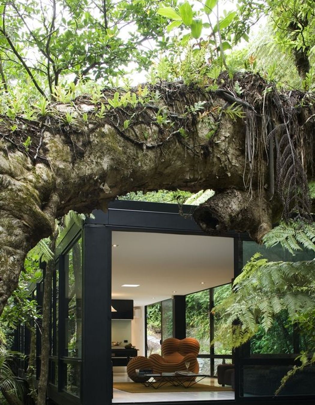 Forest House