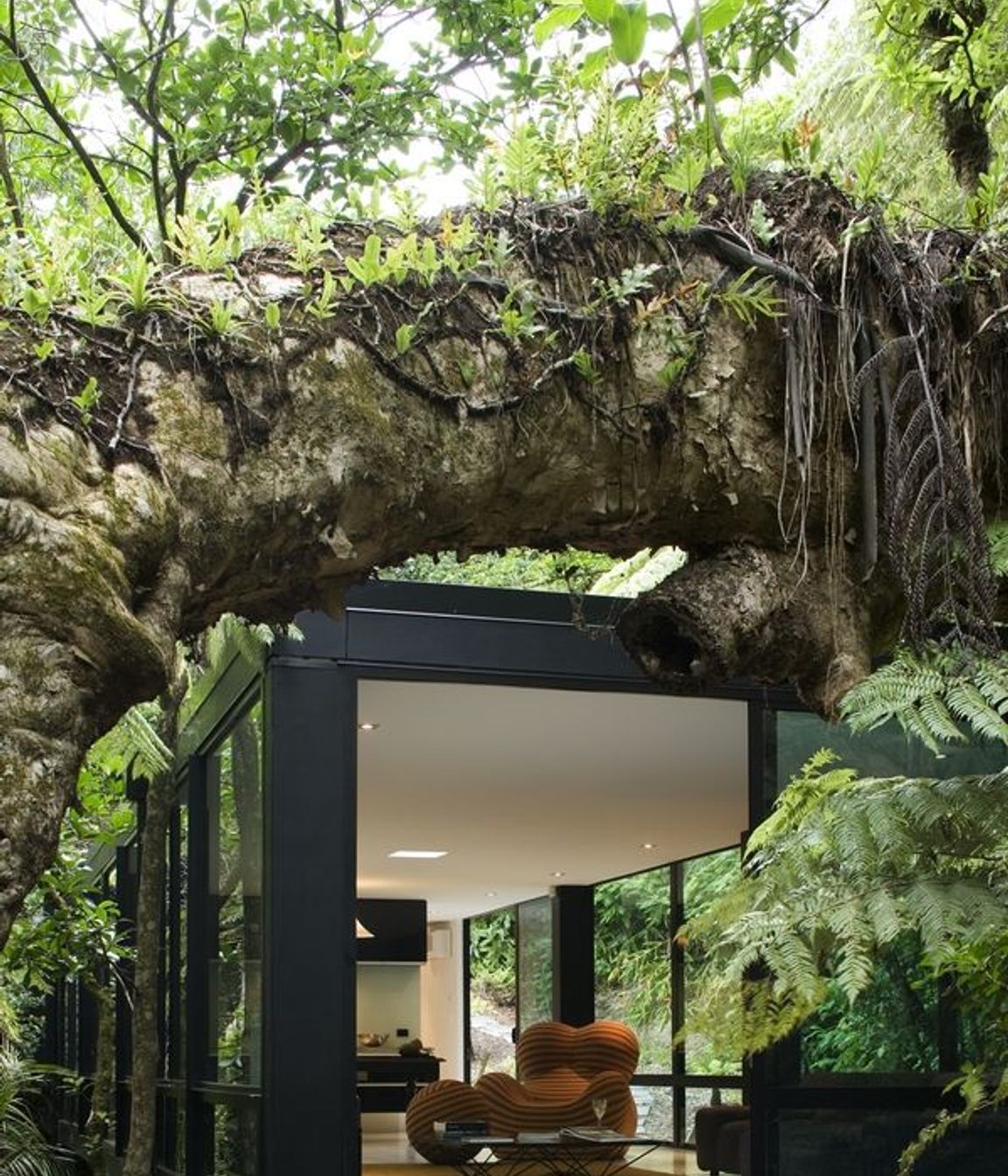 Forest House