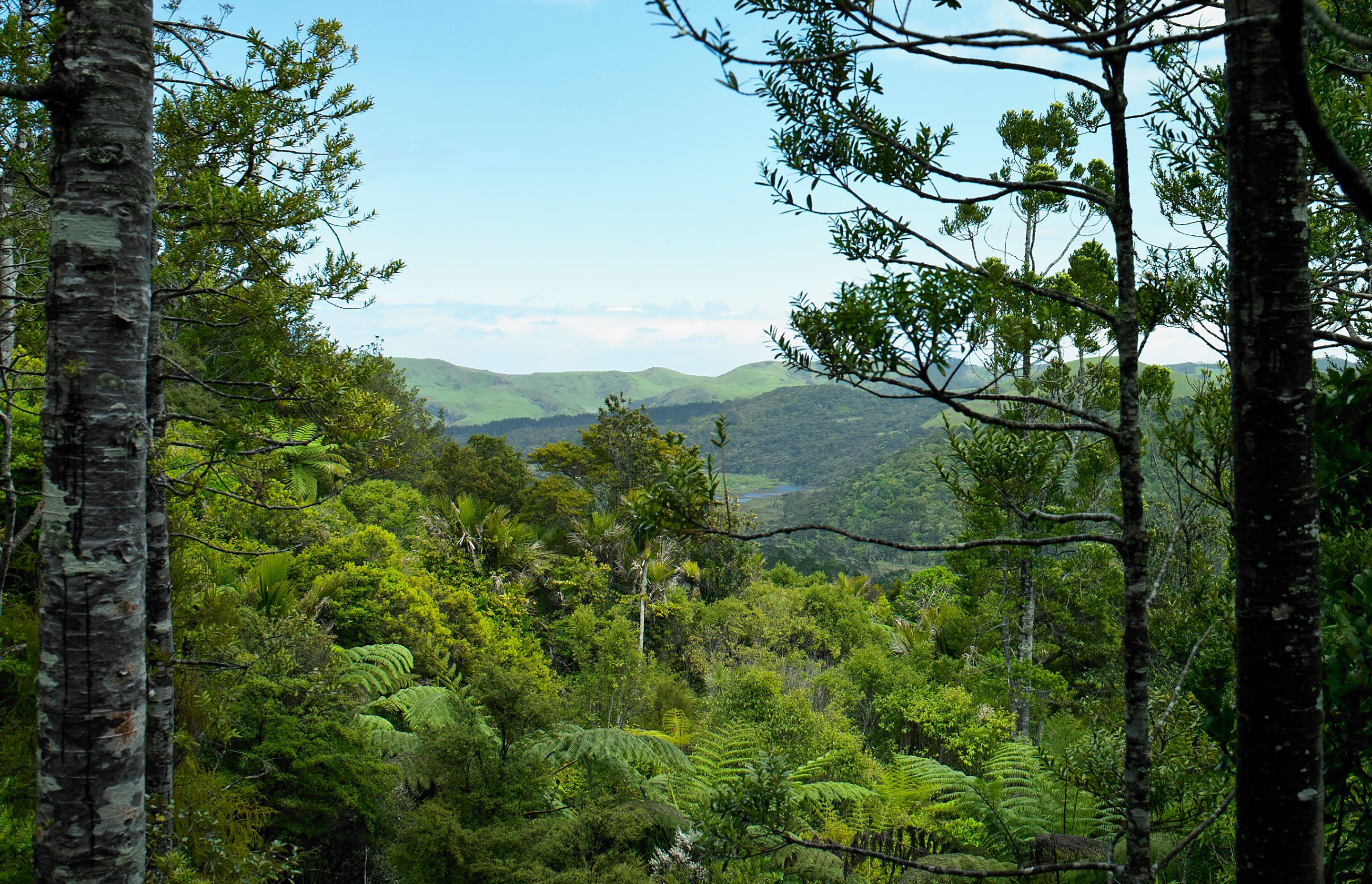 Te Aute Ridge House