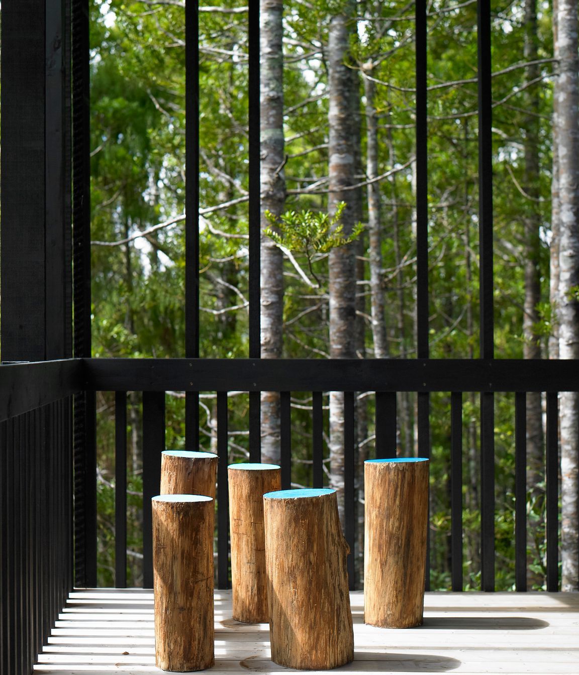 Te Aute Ridge House