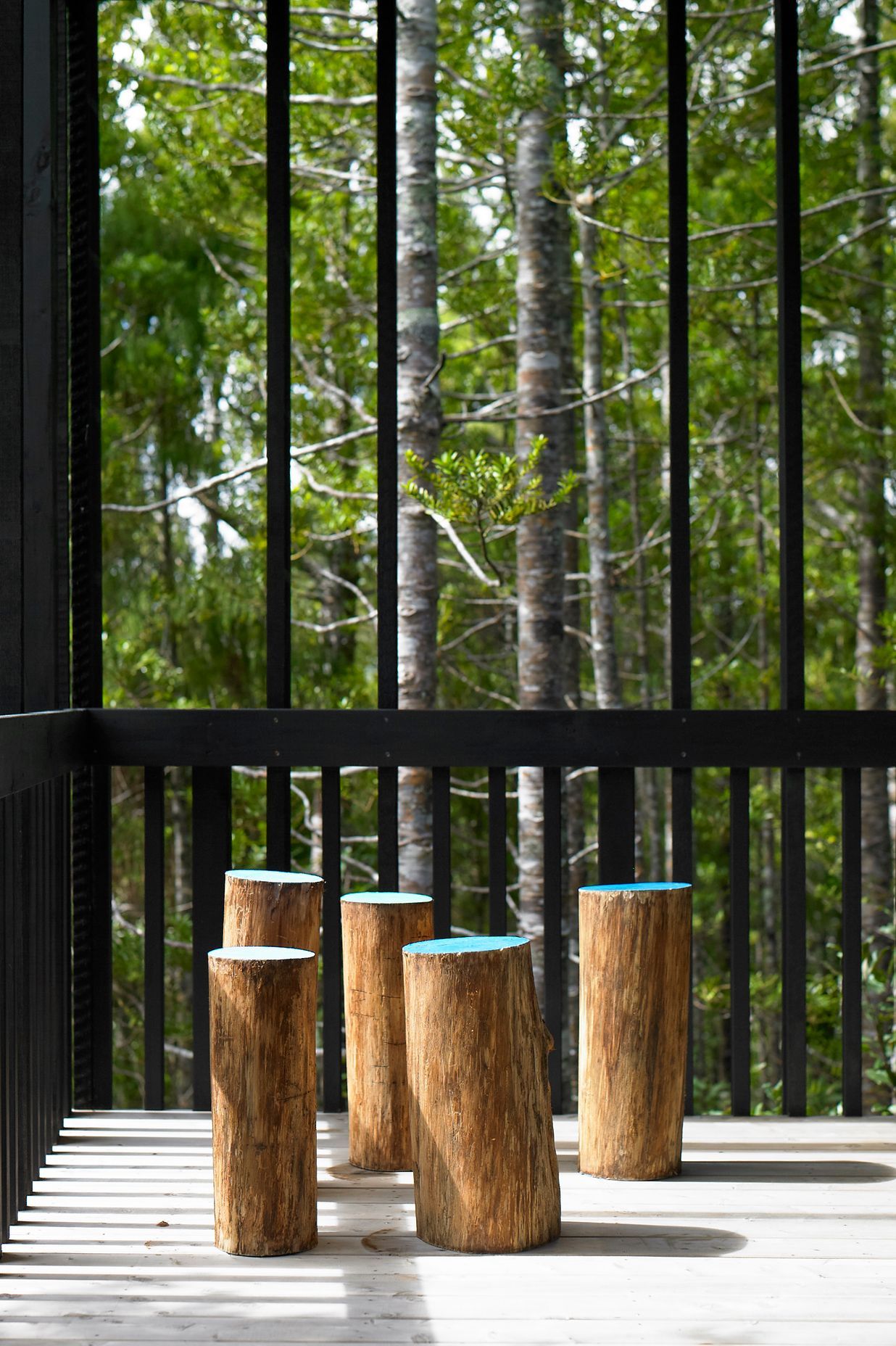 Te Aute Ridge House