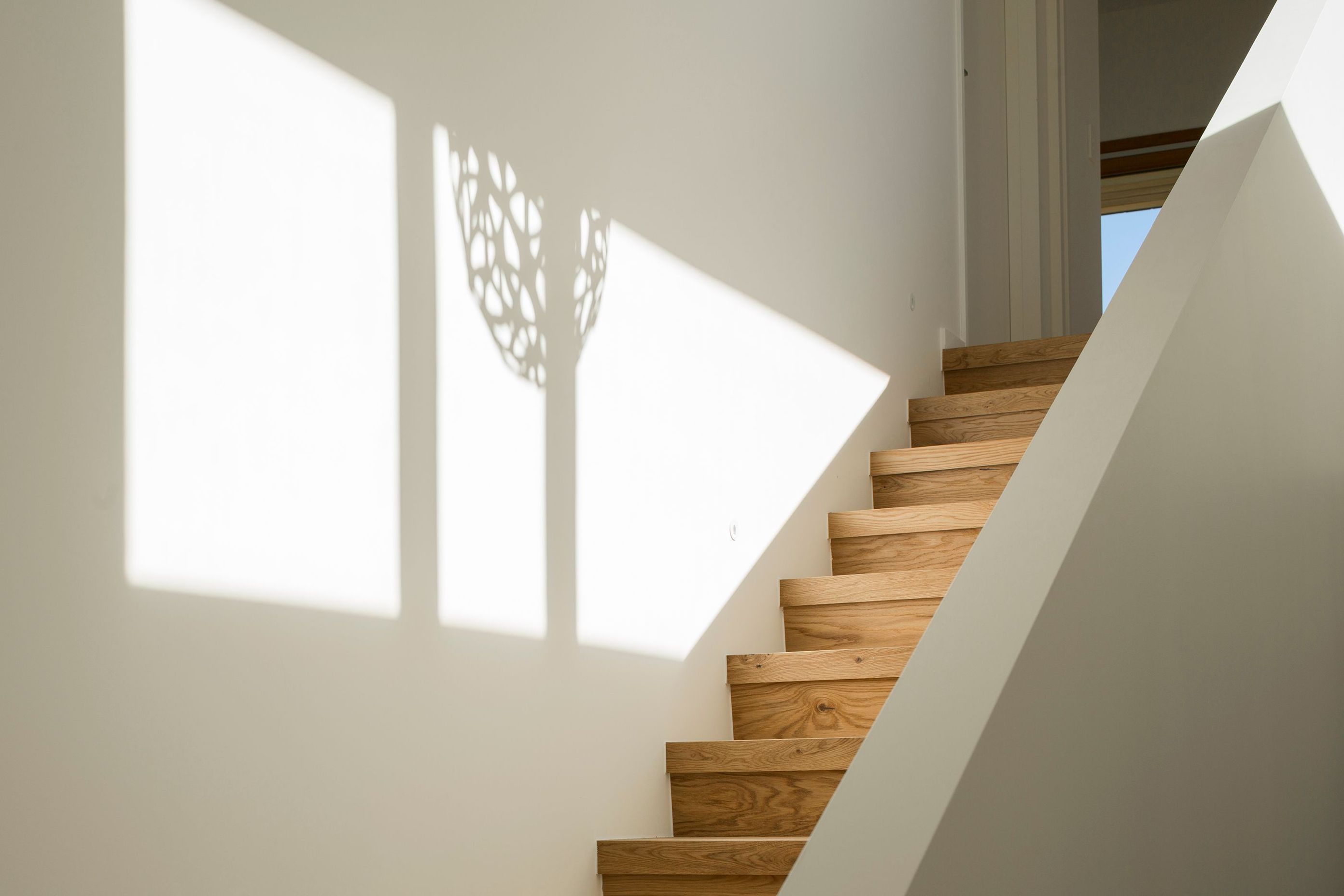 Frankton SIPs Panel House