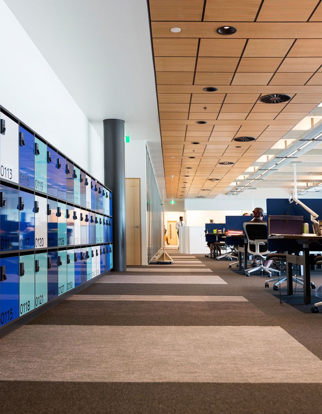 Trustpower Tauranga