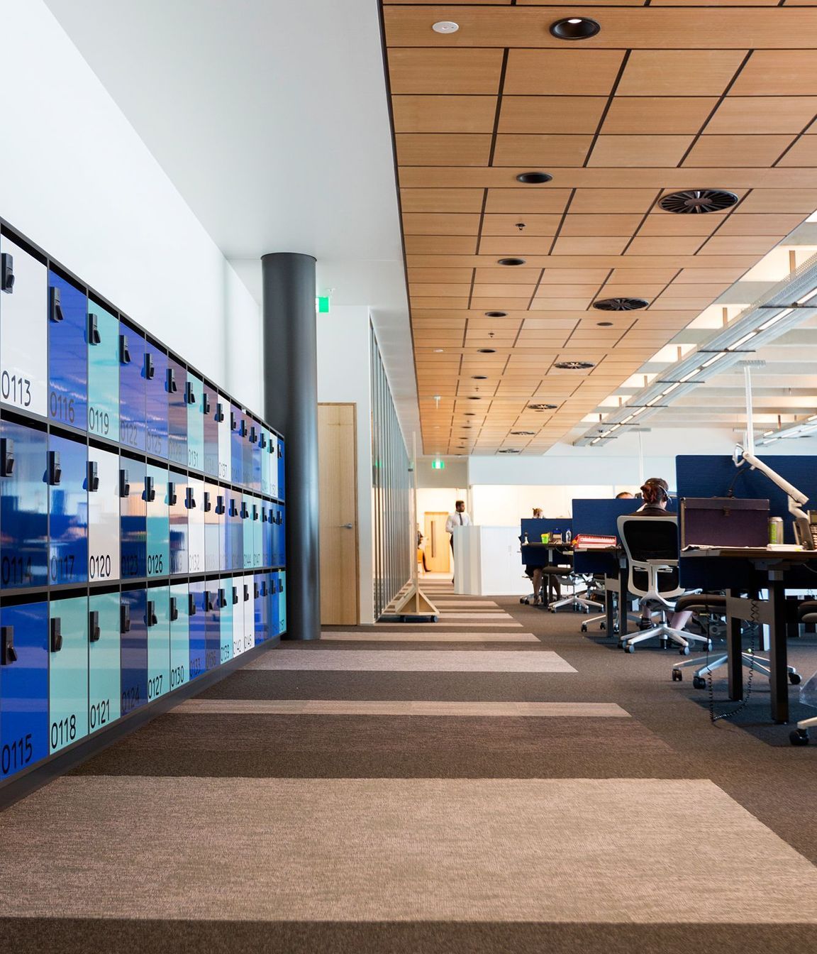 Trustpower Tauranga