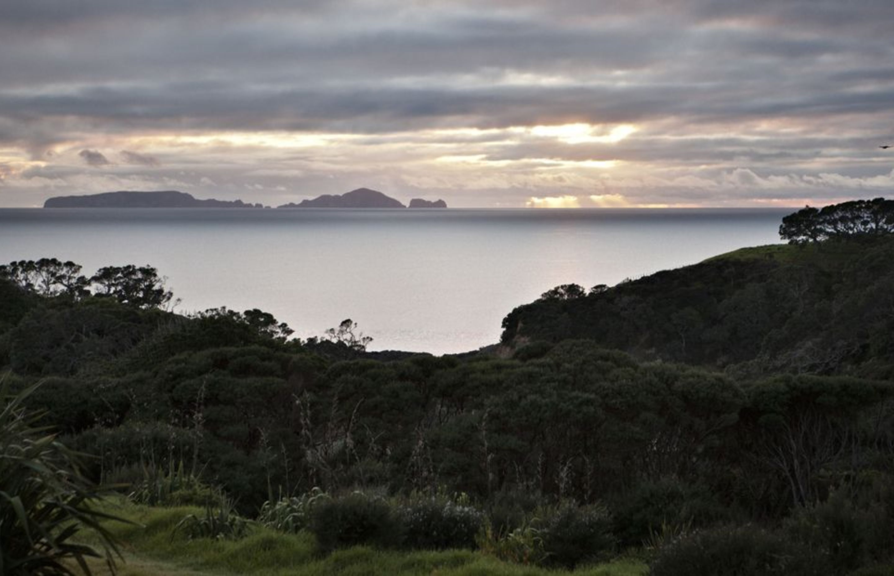 TUTUKAKA HOUSE